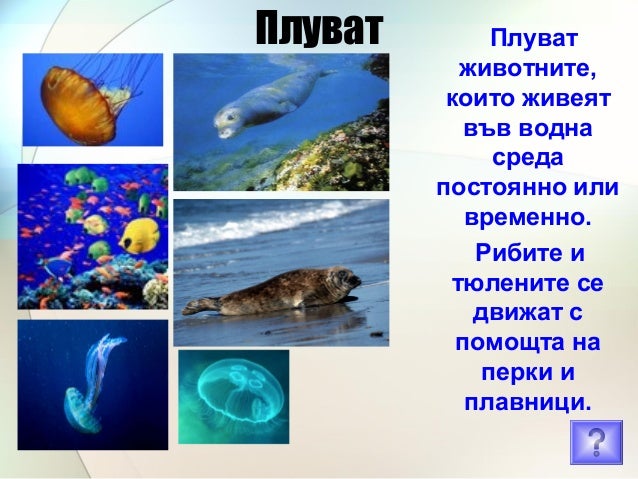 движение на животните