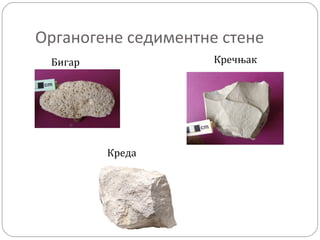 Органогене седиментне стене
Бигар Кречњак
Креда
 
