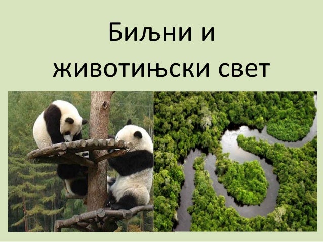 Биљни и животињски свет