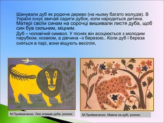 • Шанували дуб як родюче дерево (на ньому багато жолудів). В
Україні існує звичай садити дубок, коли народиться дитина.
Матері своїм синам на сорочці вишивали листя дуба, щоб
син був сильним, міцним. 
• Дуб – чоловічий символ. У піснях він асоціюється з молодим
парубком, козаком, а дівчина –з березою.. Коли дуб і береза
сняться в парі, вони віщують весілля.
М.Приймаченко. Лев зламав дуба, розпис М.Приймаченко. Мавпа на дубі, розпис
 