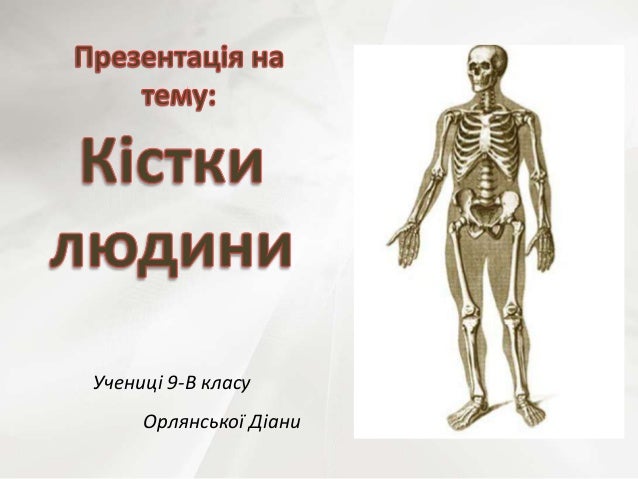 Кістки людини