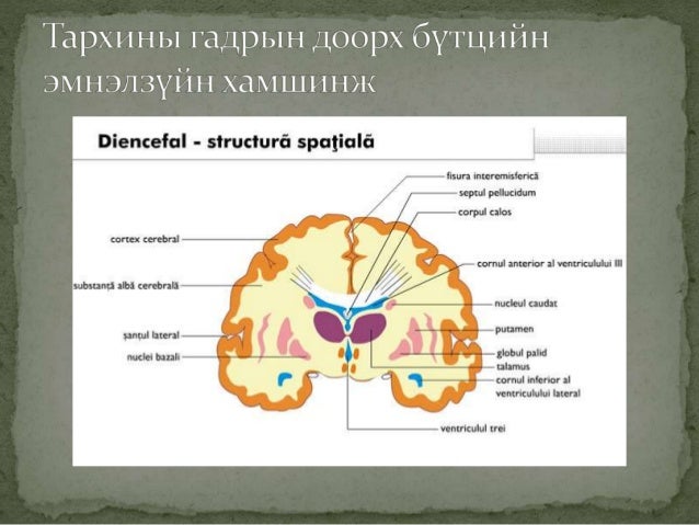 мэдрэлийн системийн голомтот эмгэгийн хамшинжүүд