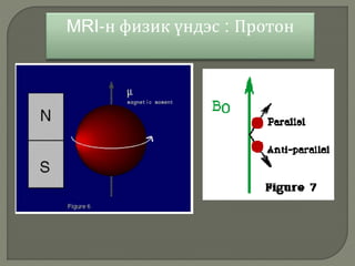 MRI-н физик үндэс : Протон
 