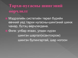  Мэдрэлийн систетийн төрөл бүрийн
өвчний үед тархи нугасны-шингэний шинж
чанар, бүтэц өөрчлөгдөнө.
 Өнгө: улбар ягаан, улаан хүрэн
шингэн шаргал(ксантохром)
шингэн булингартай, шар ногоон
 