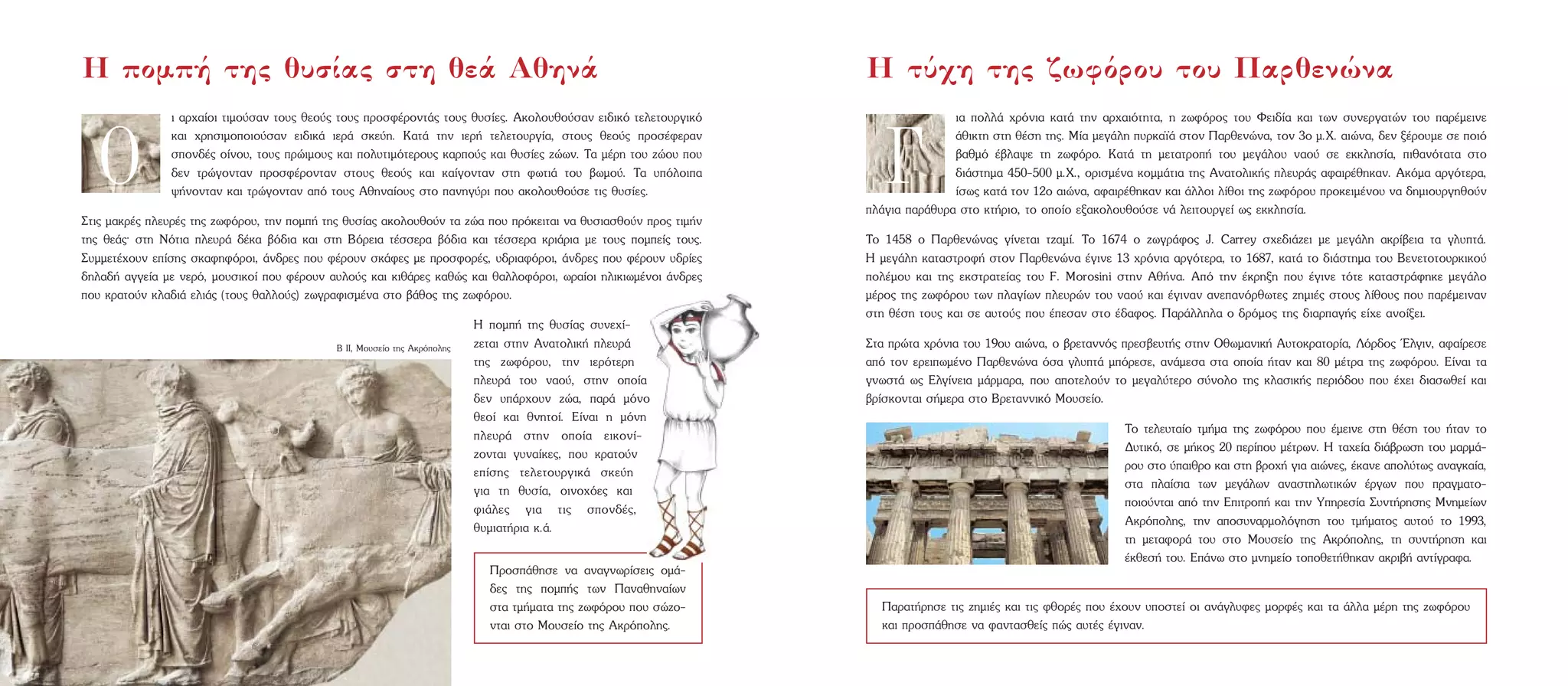 È ·Ú¯·›ÔÈ ÙÈÌÔ‡Û·Ó ÙÔ˘˜ ıÂÔ‡˜ ÙÔ˘˜ ÚÔÛÊ¤ÚÔÓÙ¿˜ ÙÔ˘˜ ı˘Û›Â˜. AÎÔÏÔ˘ıÔ‡Û·Ó ÂÈ‰ÈÎﬁ ÙÂÏÂÙÔ˘ÚÁÈÎﬁ
Î·È ¯ÚËÛÈÌÔÔÈÔ‡Û·Ó ÂÈ‰ÈÎ¿ ÈÂÚ¿ ÛÎÂ‡Ë. K·Ù¿ ÙËÓ ÈÂÚ‹ ÙÂÏÂÙÔ˘ÚÁ›·, ÛÙÔ˘˜ ıÂÔ‡˜ ÚÔÛ¤ÊÂÚ·Ó
ÛÔÓ‰¤˜ Ô›ÓÔ˘, ÙÔ˘˜ ÚÒÈÌÔ˘˜ Î·È ÔÏ˘ÙÈÌﬁÙÂÚÔ˘˜ Î·ÚÔ‡˜ Î·È ı˘Û›Â˜ ˙ÒˆÓ. T· Ì¤ÚË ÙÔ˘ ˙ÒÔ˘ Ô˘
‰ÂÓ ÙÚÒÁÔÓÙ·Ó ÚÔÛÊ¤ÚÔÓÙ·Ó ÛÙÔ˘˜ ıÂÔ‡˜ Î·È Î·›ÁÔÓÙ·Ó ÛÙË ÊˆÙÈ¿ ÙÔ˘ ‚ˆÌÔ‡. T· ˘ﬁÏÔÈ·
„‹ÓÔÓÙ·Ó Î·È ÙÚÒÁÔÓÙ·Ó ·ﬁ ÙÔ˘˜ AıËÓ·›Ô˘˜ ÛÙÔ ·ÓËÁ‡ÚÈ Ô˘ ·ÎÔÏÔ˘ıÔ‡ÛÂ ÙÈ˜ ı˘Û›Â˜.
™ÙÈ˜ Ì·ÎÚ¤˜ ÏÂ˘Ú¤˜ ÙË˜ ˙ˆÊﬁÚÔ˘, ÙËÓ ÔÌ‹ ÙË˜ ı˘Û›·˜ ·ÎÔÏÔ˘ıÔ‡Ó Ù· ˙Ò· Ô˘ ÚﬁÎÂÈÙ·È Ó· ı˘ÛÈ·ÛıÔ‡Ó ÚÔ˜ ÙÈÌ‹Ó
ÙË˜ ıÂ¿˜Ø ÛÙË NﬁÙÈ· ÏÂ˘Ú¿ ‰¤Î· ‚ﬁ‰È· Î·È ÛÙË BﬁÚÂÈ· Ù¤ÛÛÂÚ· ‚ﬁ‰È· Î·È Ù¤ÛÛÂÚ· ÎÚÈ¿ÚÈ· ÌÂ ÙÔ˘˜ ÔÌÂ›˜ ÙÔ˘˜.
™˘ÌÌÂÙ¤¯Ô˘Ó Â›ÛË˜ ÛÎ·ÊËÊﬁÚÔÈ, ¿Ó‰ÚÂ˜ Ô˘ Ê¤ÚÔ˘Ó ÛÎ¿ÊÂ˜ ÌÂ ÚÔÛÊÔÚ¤˜, ˘‰ÚÈ·ÊﬁÚÔÈ, ¿Ó‰ÚÂ˜ Ô˘ Ê¤ÚÔ˘Ó ˘‰Ú›Â˜
‰ËÏ·‰‹ ·ÁÁÂ›· ÌÂ ÓÂÚﬁ, ÌÔ˘ÛÈÎÔ› Ô˘ Ê¤ÚÔ˘Ó ·˘ÏÔ‡˜ Î·È ÎÈı¿ÚÂ˜ Î·ıÒ˜ Î·È ı·ÏÏÔÊﬁÚÔÈ, ˆÚ·›ÔÈ ËÏÈÎÈˆÌ¤ÓÔÈ ¿Ó‰ÚÂ˜
Ô˘ ÎÚ·ÙÔ‡Ó ÎÏ·‰È¿ ÂÏÈ¿˜ (ÙÔ˘˜ ı·ÏÏÔ‡˜) ˙ˆÁÚ·ÊÈÛÌ¤Ó· ÛÙÔ ‚¿ıÔ˜ ÙË˜ ˙ˆÊﬁÚÔ˘.
H ÔÌ‹ ÙË˜ ı˘Û›·˜ Û˘ÓÂ¯›-
˙ÂÙ·È ÛÙËÓ AÓ·ÙÔÏÈÎ‹ ÏÂ˘Ú¿
ÙË˜ ˙ˆÊﬁÚÔ˘, ÙËÓ ÈÂÚﬁÙÂÚË
ÏÂ˘Ú¿ ÙÔ˘ Ó·Ô‡, ÛÙËÓ ÔÔ›·
‰ÂÓ ˘¿Ú¯Ô˘Ó ˙Ò·, ·Ú¿ ÌﬁÓÔ
ıÂÔ› Î·È ıÓËÙÔ›. E›Ó·È Ë ÌﬁÓË
ÏÂ˘Ú¿ ÛÙËÓ ÔÔ›· ÂÈÎÔÓ›-
˙ÔÓÙ·È Á˘Ó·›ÎÂ˜, Ô˘ ÎÚ·ÙÔ‡Ó
Â›ÛË˜ ÙÂÏÂÙÔ˘ÚÁÈÎ¿ ÛÎÂ‡Ë
ÁÈ· ÙË ı˘Û›·, ÔÈÓÔ¯ﬁÂ˜ Î·È
ÊÈ¿ÏÂ˜ ÁÈ· ÙÈ˜ ÛÔÓ‰¤˜,
ı˘ÌÈ·Ù‹ÚÈ· Î.¿.
È· ÔÏÏ¿ ¯ÚﬁÓÈ· Î·Ù¿ ÙËÓ ·Ú¯·ÈﬁÙËÙ·, Ë ˙ˆÊﬁÚÔ˜ ÙÔ˘ ºÂÈ‰›· Î·È ÙˆÓ Û˘ÓÂÚÁ·ÙÒÓ ÙÔ˘ ·Ú¤ÌÂÈÓÂ
¿ıÈÎÙË ÛÙË ı¤ÛË ÙË˜. M›· ÌÂÁ¿ÏË ˘ÚÎ·˚¿ ÛÙÔÓ ¶·ÚıÂÓÒÓ·, ÙÔÓ 3Ô Ì.X. ·ÈÒÓ·, ‰ÂÓ Í¤ÚÔ˘ÌÂ ÛÂ ÔÈﬁ
‚·ıÌﬁ ¤‚Ï·„Â ÙË ˙ˆÊﬁÚÔ. K·Ù¿ ÙË ÌÂÙ·ÙÚÔ‹ ÙÔ˘ ÌÂÁ¿ÏÔ˘ Ó·Ô‡ ÛÂ ÂÎÎÏËÛ›·, Èı·ÓﬁÙ·Ù· ÛÙÔ
‰È¿ÛÙËÌ· 450-500 Ì.X., ÔÚÈÛÌ¤Ó· ÎÔÌÌ¿ÙÈ· ÙË˜ AÓ·ÙÔÏÈÎ‹˜ ÏÂ˘Ú¿˜ ·Ê·ÈÚ¤ıËÎ·Ó. AÎﬁÌ· ·ÚÁﬁÙÂÚ·,
›Ûˆ˜ Î·Ù¿ ÙÔÓ 12Ô ·ÈÒÓ·, ·Ê·ÈÚ¤ıËÎ·Ó Î·È ¿ÏÏÔÈ Ï›ıÔÈ ÙË˜ ˙ˆÊﬁÚÔ˘ ÚÔÎÂÈÌ¤ÓÔ˘ Ó· ‰ËÌÈÔ˘ÚÁËıÔ‡Ó
Ï¿ÁÈ· ·Ú¿ı˘Ú· ÛÙÔ ÎÙ‹ÚÈÔ, ÙÔ ÔÔ›Ô ÂÍ·ÎÔÏÔ˘ıÔ‡ÛÂ Ó¿ ÏÂÈÙÔ˘ÚÁÂ› ˆ˜ ÂÎÎÏËÛ›·.
TÔ 1458 Ô ¶·ÚıÂÓÒÓ·˜ Á›ÓÂÙ·È Ù˙·Ì›. TÔ 1674 Ô ˙ˆÁÚ¿ÊÔ˜ J. Carrey Û¯Â‰È¿˙ÂÈ ÌÂ ÌÂÁ¿ÏË ·ÎÚ›‚ÂÈ· Ù· ÁÏ˘Ù¿.
H ÌÂÁ¿ÏË Î·Ù·ÛÙÚÔÊ‹ ÛÙÔÓ ¶·ÚıÂÓÒÓ· ¤ÁÈÓÂ 13 ¯ÚﬁÓÈ· ·ÚÁﬁÙÂÚ·, ÙÔ 1687, Î·Ù¿ ÙÔ ‰È¿ÛÙËÌ· ÙÔ˘ BÂÓÂÙÔÙÔ˘ÚÎÈÎÔ‡
ÔÏ¤ÌÔ˘ Î·È ÙË˜ ÂÎÛÙÚ·ÙÂ›·˜ ÙÔ˘ F. Morosini ÛÙËÓ Aı‹Ó·. Aﬁ ÙËÓ ¤ÎÚËÍË Ô˘ ¤ÁÈÓÂ ÙﬁÙÂ Î·Ù·ÛÙÚ¿ÊËÎÂ ÌÂÁ¿ÏÔ
Ì¤ÚÔ˜ ÙË˜ ˙ˆÊﬁÚÔ˘ ÙˆÓ Ï·Á›ˆÓ ÏÂ˘ÚÒÓ ÙÔ˘ Ó·Ô‡ Î·È ¤ÁÈÓ·Ó ·ÓÂ·ÓﬁÚıˆÙÂ˜ ˙ËÌÈ¤˜ ÛÙÔ˘˜ Ï›ıÔ˘˜ Ô˘ ·Ú¤ÌÂÈÓ·Ó
ÛÙË ı¤ÛË ÙÔ˘˜ Î·È ÛÂ ·˘ÙÔ‡˜ Ô˘ ¤ÂÛ·Ó ÛÙÔ ¤‰·ÊÔ˜. ¶·Ú¿ÏÏËÏ· Ô ‰ÚﬁÌÔ˜ ÙË˜ ‰È·Ú·Á‹˜ Â›¯Â ·ÓÔ›ÍÂÈ.
™Ù· ÚÒÙ· ¯ÚﬁÓÈ· ÙÔ˘ 19Ô˘ ·ÈÒÓ·, Ô ‚ÚÂÙ·ÓÓﬁ˜ ÚÂÛ‚Â˘Ù‹˜ ÛÙËÓ OıˆÌ·ÓÈÎ‹ A˘ÙÔÎÚ·ÙÔÚ›·, §ﬁÚ‰Ô˜ ŒÏÁÈÓ, ·Ê·›ÚÂÛÂ
·ﬁ ÙÔÓ ÂÚÂÈˆÌ¤ÓÔ ¶·ÚıÂÓÒÓ· ﬁÛ· ÁÏ˘Ù¿ ÌﬁÚÂÛÂ, ·Ó¿ÌÂÛ· ÛÙ· ÔÔ›· ‹Ù·Ó Î·È 80 Ì¤ÙÚ· ÙË˜ ˙ˆÊﬁÚÔ˘. E›Ó·È Ù·
ÁÓˆÛÙ¿ ˆ˜ EÏÁ›ÓÂÈ· Ì¿ÚÌ·Ú·, Ô˘ ·ÔÙÂÏÔ‡Ó ÙÔ ÌÂÁ·Ï‡ÙÂÚÔ Û‡ÓÔÏÔ ÙË˜ ÎÏ·ÛÈÎ‹˜ ÂÚÈﬁ‰Ô˘ Ô˘ ¤¯ÂÈ ‰È·ÛˆıÂ› Î·È
‚Ú›ÛÎÔÓÙ·È Û‹ÌÂÚ· ÛÙÔ BÚÂÙ·ÓÓÈÎﬁ MÔ˘ÛÂ›Ô.
TÔ ÙÂÏÂ˘Ù·›Ô ÙÌ‹Ì· ÙË˜ ˙ˆÊﬁÚÔ˘ Ô˘ ¤ÌÂÈÓÂ ÛÙË ı¤ÛË ÙÔ˘ ‹Ù·Ó ÙÔ
¢˘ÙÈÎﬁ, ÛÂ Ì‹ÎÔ˜ 20 ÂÚ›Ô˘ Ì¤ÙÚˆÓ. H Ù·¯Â›· ‰È¿‚ÚˆÛË ÙÔ˘ Ì·ÚÌ¿-
ÚÔ˘ ÛÙÔ ‡·ÈıÚÔ Î·È ÛÙË ‚ÚÔ¯‹ ÁÈ· ·ÈÒÓÂ˜, ¤Î·ÓÂ ·ÔÏ‡Ùˆ˜ ·Ó·ÁÎ·›·,
ÛÙ· Ï·›ÛÈ· ÙˆÓ ÌÂÁ¿ÏˆÓ ·Ó·ÛÙËÏˆÙÈÎÒÓ ¤ÚÁˆÓ Ô˘ Ú·ÁÌ·ÙÔ-
ÔÈÔ‡ÓÙ·È ·ﬁ ÙËÓ EÈÙÚÔ‹ Î·È ÙËÓ YËÚÂÛ›· ™˘ÓÙ‹ÚËÛË˜ MÓËÌÂ›ˆÓ
AÎÚﬁÔÏË˜, ÙËÓ ·ÔÛ˘Ó·ÚÌÔÏﬁÁËÛË ÙÔ˘ ÙÌ‹Ì·ÙÔ˜ ·˘ÙÔ‡ ÙÔ 1993,
ÙË ÌÂÙ·ÊÔÚ¿ ÙÔ˘ ÛÙÔ MÔ˘ÛÂ›Ô ÙË˜ AÎÚﬁÔÏË˜, ÙË Û˘ÓÙ‹ÚËÛË Î·È
¤ÎıÂÛ‹ ÙÔ˘. E¿Óˆ ÛÙÔ ÌÓËÌÂ›Ô ÙÔÔıÂÙ‹ıËÎ·Ó ·ÎÚÈ‚‹ ·ÓÙ›ÁÚ·Ê·.
H ÔÌ‹ ÙË˜ ı˘Û›·˜ ÛÙË ıÂ¿ AıËÓ¿ H Ù‡¯Ë ÙË˜ ˙ˆÊﬁÚÔ˘ ÙÔ˘ ¶·ÚıÂÓÒÓ·
¶·Ú·Ù‹ÚËÛÂ ÙÈ˜ ˙ËÌÈ¤˜ Î·È ÙÈ˜ ÊıÔÚ¤˜ Ô˘ ¤¯Ô˘Ó ˘ÔÛÙÂ› ÔÈ ·Ó¿ÁÏ˘ÊÂ˜ ÌÔÚÊ¤˜ Î·È Ù· ¿ÏÏ· Ì¤ÚË ÙË˜ ˙ˆÊﬁÚÔ˘
Î·È ÚÔÛ¿ıËÛÂ Ó· Ê·ÓÙ·ÛıÂ›˜ Ò˜ ·˘Ù¤˜ ¤ÁÈÓ·Ó.
B II, MÔ˘ÛÂ›Ô ÙË˜ AÎÚﬁÔÏË˜
O °
¶ÚÔÛ¿ıËÛÂ Ó· ·Ó·ÁÓˆÚ›ÛÂÈ˜ ÔÌ¿-
‰Â˜ ÙË˜ ÔÌ‹˜ ÙˆÓ ¶·Ó·ıËÓ·›ˆÓ
ÛÙ· ÙÌ‹Ì·Ù· ÙË˜ ˙ˆÊﬁÚÔ˘ Ô˘ ÛÒ˙Ô-
ÓÙ·È ÛÙÔ MÔ˘ÛÂ›Ô ÙË˜ AÎÚﬁÔÏË˜.
 