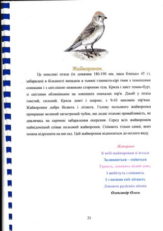 t
l
:
l;I
lti
il
ir
lrl
lri
il
;
;
}*{жйж*р#F4#ж"
Це невелrпсi пт€lхи (iX довж*rа 180-190 мм, маса б.гпвько 45 г),
забарвленi в бiлъшоgгi вlатlадкiý в тъмrtнi глr.шисто-сiрi тони з те}д{iшЕпе{
спинками i з свiтлiшою нююrьою стороною тiла. Крила i xBicT темно-бурi,
зi свiтrп,ш,ги обл:rпtЬками на зовнiшнiх оп€lх€tпitх пiр'я. ýзъоб у ilтiжа
товЁлй, силъннй. Крила довгi i широкi, з 9-10 маховим пiр'яrr,ялt.
Жаfлвороlжи добре бiгають i лiтаютъ. Голову польового жаfuороlжа
прикрашас великрй загострешй чубок, що дOда€ гпаховi прlшаблквiсть, не
дивляЕIиgЬ Еа cKpt}MHe забарвлен:Ш опереш{rI. Серед Bcix жайвороrжiв
наfвiдомiший спiвак полъовий жаfuоронок. Спiв{lють тiлъки самф, якID(
можна вiдрiзнллти на вигляд. Цей жаfuоронок вiдноситъся дО оСiлОго виДУ.
Н{айвоРонок
ý жеfii ;*iаý*ерожкЁt s* ю,t,t,cri
заливаються - смiються
Грж*tэгь, д,}вфý.[Ёт,ýэ яеý.т*giý,ц*idЕ,"
l щебечуть i сltiваю,rь
I з веспою cBiT BiTaroTb
ýзвошоь* радiелlих пiсень
21,
Олексанdр Олесь
 