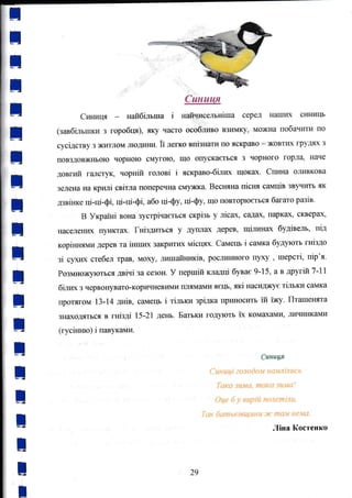 ;
t
;
;
;
;
;
;
t
:
;
;
;
;
;
;
;
;
t
;
l
Сiнаця
Сшпши найбiльша i на&всельнiша серед нilII1D( синиlF
,, I
(завбЬlшtлл з горобця),
"ку
часто *сgблIво взимку, можilа побашrги по
сусiдству з жЕтпýм пюд{ни, ii лежо ввiзrrати шо яскрЕIво - жовтш( грудЕ( з
повздовжFIьою чорною смугою, що опуска€ться з чорнOго горла" Ёаче
довпй гtшстук, чорнiй головi i яскраво-бiшоt щок€lх, Стшша оJIивкова
зелеЕа на lqилi свiтла поперечна смужка. Весняна пiсня Саrrгцiв зву{ить як
дзвirп<е ц-цi-фi, щi-ц-ф| або ф-фУ, ф-фу, щ0 повторюсться багато разiв.
в ykpaitri вона зустрiчасгься скрiзь у лiсах, садах, шарках, ýкверах,
ЕаседеЕЕL IIуЕктах. Гнiздrrгъся У дуIIJIах дерев, щiшаrrах будЬеrь, ilй
корiкrяли дерев та iтпrrю< з{tкритln( мiсцях. CaMelp i самка будують гнiздо
зi сухюr стебеЛ трав, моху, лишrаiirпжiв, ростшлrп16го шуху , шерýтi, пiр'я.
Розь*rохгзлlоться дiчi за сезон. У гlершiй кладцi бувае 9_15, а в другiй ?_11
бiJIID( з червонувато-коршIневими IIJUIм€Iми я€IЕ, якi насиджус тiльки самка
протягом 13_14 днiв, cttмelъ i тiльки зрiдка приноситъ iй 'rжу. Птаrпенята
зЕitходяться в гнiздi t5-21 день. Батыg{ годують 'ix комахами, JIиЕIи}Iками
(гусil*по). i павуками.
Сtвtллtдя
С l,tH uъуi zo.1l odo.Ml н а.uл iл чс ь
Така зttма" mак{t зtl"ма|
Оце б у вuрiъt ttолеm i",ttt,
Т'ак бclпtbKiBltytlHw .хс lTlav,| He-"la.
29
лiва Коетенко
 