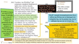 Στη Β΄ στροφή συγκεφαλαιώνεται όλη η
οδύνη της Ελένης για το διασυρμό του
ονόματός της, για τη μητέρα της, για τα
αδέλφια της και για τον άντρα της.
 