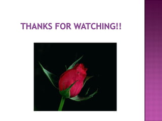 η γειτονια φιλοπαππου!!