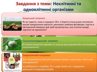 Завдання з теми: Неклітинні та
одноклітинні організми
Кухарський напрямок
Як ви гадаєте, чому в середині 19ст. в Європі кілька разів спалювали
масові захоронення картоплі, викликані грибами фітофтори, тоді як в
Центральній Америці цей гриб зустрічається, але істотної шкоди
картоплі не приносить?
Сільськогосподарський напрямок
Як можна захистити урожай с/г культур від шкідників без застосування
отрутохімікатів?
Енергетичний напрямок
Для зварювання металів використовують ацетилен. Якого він
походження?
а) добувають з карбіду; б) з надр землі; в) з продуктів
діяльності мікроорганізмів
 