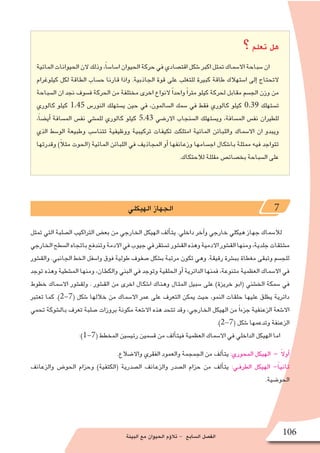 ‫البيئة‬ ‫مع‬ ‫الحيوان‬ ‫ؤم‬�‫تال‬ - ‫ال�سابع‬ ‫الف�صل‬ 106
‫؟‬‫تعلم‬ ‫هل‬
‫المائية‬‫الحيوانات‬‫الن‬‫وذلك‬،ً‫ا‬‫ا�سا�س‬‫الحيوان‬‫حركة‬‫في‬‫اقت�صادي‬‫�شكل‬‫اكبر‬‫تمثل‬‫اال�سماك‬‫�سباحة‬‫ان‬
‫كيلوغرام‬ ‫لكل‬ ‫الطاقة‬ ‫ح�ساب‬ ‫قارنا‬ ‫واذا‬ .‫الجاذبية‬ ‫قوة‬ ‫على‬ ‫للتغلب‬ ‫كبيرة‬ ‫طاقة‬ ‫ا�ستهالك‬ ‫إلى‬� ‫التحتاج‬
‫ال�سباحة‬ ‫ان‬ ‫نجد‬ ‫ف�سوف‬ ‫الحركة‬ ‫من‬ ‫مختلفة‬ ‫اخرى‬ ‫النواع‬ ً‫ا‬‫واحد‬ ً‫ا‬‫متر‬ ‫كيلو‬ ‫لحركة‬ ‫مقابل‬ ‫الج�سم‬ ‫وزن‬ ‫من‬
‫كالوري‬ ‫كيلو‬ 1.45 ‫النور�س‬ ‫ي�ستهلك‬ ‫حين‬ ‫في‬ ،‫ال�سالمون‬ ‫�سمك‬ ‫في‬ ‫فقط‬ ‫كالوري‬ ‫كيلو‬ 0.39 ‫ت�ستهلك‬
،ً‫ا‬‫أي�ض‬� ‫الم�سافة‬ ‫نف�س‬ ‫للم�شي‬ ‫كالوري‬ ‫كيلو‬ 5.43 ‫االر�ضي‬ ‫ال�سنجاب‬ ‫وي�ستهلك‬ ،‫الم�سافة‬ ‫نف�س‬ ‫للطيران‬
‫الذي‬ ‫الو�سط‬ ‫وطبيعة‬ ‫تتنا�سب‬ ‫ووظيفية‬ ‫تركيبية‬ ‫تكيفات‬ ‫امتلكت‬ ‫المائية‬ ‫واللبائن‬ ‫اال�سماك‬ ‫ان‬ ‫ويبدو‬
‫وقدرتها‬ )ً‫ال‬‫مث‬ ‫(الحوت‬ ‫المائية‬ ‫اللبائن‬ ‫في‬ ‫المجاذيف‬ ‫أو‬� ‫وزعانفها‬ ‫اج�سامها‬ ‫با�شكال‬ ‫ممثلة‬ ‫فيه‬ ‫تتواجد‬
.‫لالحتكاك‬ ‫مقللة‬ ‫بخ�صائ�ص‬ ‫ال�سباحة‬ ‫على‬
‫الهيكلي‬ ‫الجهاز‬ 7
‫تمثل‬ ‫التي‬ ‫ال�صلبة‬ ‫التراكيب‬ ‫بع�ض‬ ‫من‬ ‫الخارجي‬ ‫الهيكل‬ ‫ألف‬�‫يت‬ .‫داخلي‬ ‫آخر‬�‫و‬ ‫خارجي‬ ‫هيكلي‬ ‫جهاز‬ ‫لال�سماك‬
‫الخارجي‬‫ال�سطح‬‫باتجاه‬‫وتندفع‬‫االدمة‬‫في‬‫جيوب‬‫في‬‫ت�ستقر‬‫الق�شور‬‫وهذه‬‫االدمية‬‫الق�شور‬‫ومنها‬،‫جلدية‬‫م�شتقات‬
‫والق�شور‬ .‫الجانبي‬ ‫الخط‬ ‫وا�سفل‬ ‫فوق‬ ‫طولية‬ ‫�صفوف‬ ‫ب�شكل‬ ‫مرتبة‬ ‫تكون‬ ‫وهي‬ .‫رقيقة‬ ‫بب�شرة‬ ‫مغطاة‬ ‫وتبقى‬ ‫للج�سم‬
‫توجد‬ ‫وهذه‬ ‫الم�شطية‬ ‫ومنها‬ ،‫والكطان‬ ‫البني‬ ‫في‬ ‫وتوجد‬ ‫الحلقية‬ ‫أو‬� ‫الدائرية‬ ‫فمنها‬ ،‫متنوعة‬ ‫العظمية‬ ‫اال�سماك‬ ‫في‬
‫خطوط‬ ‫اال�سماك‬ ‫ولق�شور‬ . ‫الق�شور‬ ‫من‬ ‫اخرى‬ ‫ا�شكال‬ ‫وهناك‬ ‫المثال‬ ‫�سبيل‬ ‫على‬ )‫خريزة‬ ‫(ابو‬ ‫الخ�شني‬ ‫�سمكة‬ ‫في‬
‫تعتبر‬ ‫كما‬ .)2-7( ‫�شكل‬ ‫خاللها‬ ‫من‬ ‫اال�سماك‬ ‫عمر‬ ‫على‬ ‫التعرف‬ ‫يمكن‬ ‫حيث‬ ،‫النمو‬ ‫حلقات‬ ‫عليها‬ ‫يطلق‬ ‫دائرية‬
‫تحمي‬ ‫بال�شوكة‬ ‫تعرف‬ ‫�صلبة‬ ‫بروزات‬ ‫مكونة‬ ‫اال�شعة‬ ‫هذه‬ ‫تتحد‬ ‫وقد‬ ،‫الخارجي‬ ‫الهيكل‬ ‫من‬ ً‫ا‬‫جزء‬ ‫الزعنفية‬ ‫اال�شعة‬
.)2-7( ‫�شكل‬ ‫وتدعمها‬ ‫الزعنفة‬
:)1-7( ‫المخطط‬ ‫رئي�سين‬ ‫ق�سمين‬ ‫من‬ ‫ألف‬�‫فيت‬ ‫العظمية‬ ‫اال�سماك‬ ‫في‬ ‫الداخلي‬ ‫الهيكل‬ ‫اما‬
.‫واال�ضالع‬ ‫الفقري‬ ‫والعمود‬ ‫الجمجمة‬ ‫من‬ ‫ألف‬�‫يت‬ :‫المحوري‬ ‫الهيكل‬ - ً‫ال‬‫أو‬�
‫والزعانف‬ ‫الحو�ض‬ ‫وحزام‬ )‫(الكتفية‬ ‫ال�صدرية‬ ‫والزعانف‬ ‫ال�صدر‬ ‫حزام‬ ‫من‬ ‫ألف‬�‫يت‬ :‫الطرفـي‬ ‫الهيكل‬ -ً‫ا‬‫ثاني‬
.‫الحو�ضية‬
 