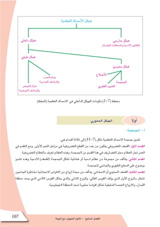 ‫البيئة‬ ‫مع‬ ‫الحيوان‬ ‫ؤم‬�‫تال‬ - ‫ال�سابع‬ ‫الف�صل‬107
)‫(للحفظ‬ ‫العظمية‬ ‫اال�سماك‬ ‫في‬ ‫الداخلي‬ ‫الهيكل‬ ‫مكونات‬ )1-7( ‫مخطط‬
:‫المحوري‬ ‫الهيكل‬ ً‫ال‬‫أو‬�
: ‫الجمجمة‬ - ‫أ‬�
:‫هي‬ ‫اق�سام‬ ‫ثالثة‬ ‫إلى‬� )11-7( ‫�شكل‬ ‫العظمية‬ ‫اال�سماك‬ ‫جمجمة‬ ‫تتميز‬
‫في‬ ‫التقدم‬ ‫ومع‬ .‫أولى‬‫ل‬‫ا‬ ‫النمو‬ ‫مراحل‬ ‫في‬ ‫الغ�ضروفية‬ ‫القطع‬ ‫من‬ ‫عدد‬ ‫من‬ ‫يتكون‬ ‫الغ�ضروفي‬ ‫القحف‬ :‫أول‬‫ل‬‫ا‬ ‫الق�سم‬
.‫الغ�ضروفية‬ ‫بالعظام‬ ‫تعرف‬ ‫العظام‬ ‫وهذه‬ ،‫الجمجمة‬ ‫من‬ ‫الق�سم‬ ‫هذا‬ ‫في‬ ‫الغ�ضاريف‬ ‫محل‬ ‫العظام‬ ‫تحل‬ ‫العمر‬
‫تتميز‬ ‫وهذه‬ ‫االدمية‬ )‫(القحف‬ ‫الجمجمة‬ ‫ت�شكل‬ ‫غ�شائية‬ ‫أو‬� ‫ادمية‬ ‫عظام‬ ‫من‬ ‫مجموعة‬ ‫من‬ ‫ألف‬�‫يت‬ :‫الثاني‬ ‫الق�سم‬
.‫للجمجمة‬ ‫والجانبي‬ ‫الظهري‬ ‫ال�سطح‬ ‫على‬ ‫بو�ضوح‬
‫الجانبين‬ ‫متناظرة‬ ‫االح�شائية‬ ‫االقوا�س‬ ‫من‬ ‫ازواج‬ ‫�سبعة‬ ‫من‬ ‫ألف‬�‫يت‬ :‫االح�شائي‬ ‫أو‬� ‫الح�شوي‬ ‫القحف‬ :‫الثالث‬ ‫الق�سم‬
‫منطقة‬ ‫ي�سند‬ ‫الذي‬ ‫الالمي‬ ‫القو�س‬ ‫ي�شكل‬ ‫والذي‬ ‫الثاني‬ ‫والزوج‬ ،‫الفكي‬ ‫القو�س‬ ‫ؤلف‬�‫ي‬ ‫الذي‬ ‫أول‬‫ل‬‫ا‬ ‫بالزوج‬ ‫تتمثل‬
.‫الخي�شومية‬ ‫المنطقة‬ ‫ت�سند‬ ‫ح�شوية‬ ً‫ا‬‫اقوا�س‬ ‫ت�شكل‬ ‫المتبقية‬ ‫الخم�سة‬ ‫واالزواج‬ ،‫الل�سان‬
‫داخلي‬ ‫هيكل‬
‫حموري‬ ‫هيكل‬
‫أ�ضالع‬‫ل‬‫ا‬
‫اجلمجمة‬
‫الفقري‬ ‫العمود‬
‫العظمية‬ ‫أ�سماك‬‫ل‬‫ا‬ ‫هيكل‬
‫خارجي‬ ‫هيكل‬
)‫اجللدية‬ ‫وامل�شتقات‬ ‫االدمية‬ ‫(الق�شور‬
‫طريف‬ ‫هيكل‬
‫ال�صدر‬ ‫حزام‬
‫ال�صدرية‬ ‫والزعانف‬
‫احلو�ض‬ ‫حزام‬
‫احلو�ضية‬ ‫والزعانف‬
 