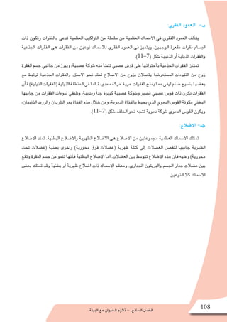 ‫البيئة‬ ‫مع‬ ‫الحيوان‬ ‫ؤم‬�‫تال‬ - ‫ال�سابع‬ ‫الف�صل‬ 108
:‫الفقري‬ ‫العمود‬ -‫ب‬
‫ذات‬ ‫وتكون‬ ‫بالفقرات‬ ‫تدعى‬ ‫العظمية‬ ‫التراكيب‬ ‫من‬ ‫�سل�سلة‬ ‫من‬ ‫العظمية‬ ‫اال�سماك‬ ‫في‬ ‫الفقري‬ ‫العمود‬ ‫ألف‬�‫يت‬
‫الجذعية‬ ‫الفقرات‬ ‫هي‬ ‫الفقرات‬ ‫من‬ ‫نوعين‬ ‫لال�سماك‬ ‫الفقري‬ ‫العمود‬ ‫في‬ ‫ويتميز‬ .‫الوجهين‬ ‫مقعرة‬ ‫فقرات‬ ‫اج�سام‬
.)11-7( ‫�شكل‬ ‫الذنبية‬ ‫أو‬� ‫الذيلية‬ ‫والفقرات‬
‫الفقرة‬‫ج�سم‬‫جانبي‬‫من‬‫ويبرز‬،‫ع�صبية‬‫�شوكة‬‫منه‬‫أ‬�‫ش‬�‫تن‬‫ع�صبي‬‫قو�س‬‫على‬‫أحتوائها‬�‫ب‬‫الجذعية‬‫الفقرات‬ ‫تمتاز‬
‫مع‬ ‫ترتبط‬ ‫الجذعية‬ ‫والفقرات‬ .‫اال�سفل‬ ‫نحو‬ ‫تمتد‬ ‫اال�ضالع‬ ‫من‬ ‫بزوج‬ ‫يت�صالن‬ ‫الم�ستعر�ضة‬ ‫النتوءات‬ ‫من‬ ‫زوج‬
‫أن‬�‫ف‬)‫الذيلية‬‫(الفقرات‬‫الذيلية‬‫المنطقة‬‫في‬‫اما‬.‫محدودة‬‫حركة‬‫حرية‬‫الفقرات‬‫يمنح‬‫مما‬‫ليفي‬‫�ضام‬‫بن�سيج‬‫بع�ضها‬
‫جانبها‬ ‫من‬ ‫الفقرات‬ ‫نتوءات‬ ‫وتلتقي‬ ،‫ومدببة‬ ً‫ا‬‫جد‬ ‫كبيرة‬ ‫ع�صبية‬ ‫و�شوكة‬ ‫ق�صير‬ ‫ع�صبي‬ ‫قو�س‬ ‫ذات‬ ‫تكون‬ ‫الفقرات‬
،‫الذنبيان‬ ‫والوريد‬ ‫ال�شريان‬ ‫يمر‬ ‫القناة‬ ‫هذه‬ ‫خالل‬ ‫ومن‬ ،‫الدموية‬ ‫بالقناة‬ ‫يحيط‬ ‫الذي‬ ‫الدموي‬ ‫القو�س‬ ‫مكونة‬ ‫البطني‬
.)11-7( ‫�شكل‬ ‫الخلف‬ ‫نحو‬ ‫تتجه‬ ‫دموية‬ ‫�شوكة‬ ‫الدموي‬ ‫القو�س‬ ‫ويكون‬
:‫اال�ضالع‬ -‫جـ‬
‫اال�ضالع‬ ‫تمتد‬ .‫البطنية‬ ‫واال�ضالع‬ ‫الظهرية‬ ‫اال�ضالع‬ ‫هي‬ ‫اال�ضالع‬ ‫من‬ ‫مجموعتين‬ ‫العظمية‬ ‫اال�سماك‬ ‫تمتلك‬
‫تحت‬ ‫(ع�ضالت‬ ‫بطنية‬ ‫واخرى‬ )‫محورية‬ ‫فوق‬ ‫(ع�ضالت‬ ‫ظهرية‬ ‫كتلة‬ ‫إلى‬� ‫الع�ضالت‬ ‫لتف�صل‬ ً‫ا‬‫جانبي‬ ‫الظهرية‬
‫وتقع‬‫الفقرة‬‫ج�سم‬‫من‬‫تنمو‬‫أنها‬�‫ف‬‫البطنية‬‫اال�ضالع‬‫اما‬.‫الع�ضالت‬‫بين‬‫تتو�سط‬‫اال�ضالع‬‫هذه‬‫فان‬‫وعليه‬)‫محورية‬
‫بع�ض‬ ‫تمتلك‬ ‫وقد‬ ‫بطنية‬ ‫أو‬� ‫ظهرية‬ ‫ا�ضالع‬ ‫ذات‬ ‫اال�سماك‬ ‫ومعظم‬ .‫الجداري‬ ‫والبريتون‬ ‫الج�سم‬ ‫جدار‬ ‫ع�ضالت‬ ‫بين‬
.‫النوعين‬ ‫كال‬ ‫اال�سماك‬
 