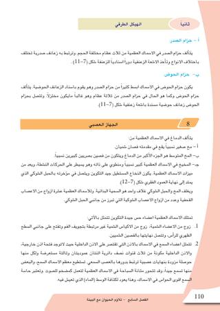 ‫البيئة‬ ‫مع‬ ‫الحيوان‬ ‫ؤم‬�‫تال‬ - ‫ال�سابع‬ ‫الف�صل‬ 110
‫الطرفي‬ ‫الهيكل‬ ً‫ا‬‫ثاني‬
:‫ال�صدر‬ ‫حزام‬ - ‫أ‬�
‫تختلف‬ ‫�صدرية‬ ‫زعانف‬ ‫به‬ ‫وترتبط‬ .‫الحجم‬ ‫مختلفة‬ ‫عظام‬ ‫ثالث‬ ‫من‬ ‫العظمية‬ ‫اال�سماك‬ ‫في‬ ‫ال�صدر‬ ‫حزام‬ ‫ألف‬�‫يت‬
. )11-7( ‫�شكل‬ ‫للزعنفة‬ ً‫ا‬‫ا�سنادي‬ ً‫ا‬‫دور‬ ‫الزعنفية‬ ‫اال�شعة‬ ‫أخذ‬�‫وت‬ ‫االنواع‬ ‫باختالف‬
:‫الحو�ض‬ ‫حزام‬ -‫ب‬
‫ألف‬�‫يت‬ .‫الحو�ضية‬ ‫الزعانف‬ ‫با�سناد‬ ‫يقوم‬ ‫وهو‬ ‫ال�صدر‬ ‫حزام‬ ‫من‬ ً‫ا‬‫كثير‬ ‫اب�سط‬ ‫اال�سماك‬ ‫في‬ ‫الحو�ض‬ ‫حزام‬ ‫يكون‬
‫بحزام‬ ‫وتت�صل‬ .ً‫ال‬‫مختز‬ ‫مايكون‬ ً‫ا‬‫غالب‬ ‫وهو‬ ‫عظام‬ ‫ثالثة‬ ‫من‬ ‫ال�صدر‬ ‫حزام‬ ‫في‬ ‫الحال‬ ‫هو‬ ‫وكما‬ ‫الحو�ض‬ ‫حزام‬
.)11-7( ‫�شكل‬ ‫زعنفية‬ ‫با�شعة‬ ‫م�سندة‬ ‫حو�ضية‬ ‫زعانف‬ ‫الحو�ض‬
‫الع�صبي‬ ‫الجهاز‬ 8
:‫من‬ ‫العظمية‬ ‫اال�سماك‬ ‫في‬ ‫الدماغ‬ ‫ألف‬�‫يت‬
.‫�شميان‬ ‫ف�صان‬ ‫مقدمته‬ ‫في‬ ‫يقع‬ ً‫ا‬‫ن�سبي‬ ‫�صغير‬ ‫مخ‬ - ‫أ‬�
.ً‫ا‬‫ن�سبي‬ ‫كبيرين‬ ‫ب�صريين‬ ‫ف�صين‬ ‫من‬ ‫ويتكون‬ ‫الدماغ‬ ‫من‬ ‫أكبر‬‫ل‬‫ا‬ ‫الجزء‬ ‫هو‬ ‫المتو�سط‬ ‫المخ‬ -‫ب‬
‫من‬ ‫ويعد‬ ،‫الن�شطة‬ ‫الحركات‬ ‫على‬ ‫ي�سيطر‬ ‫وهو‬ ‫ذاته‬ ‫على‬ ‫ومنطوي‬ ً‫ا‬‫ن�سبي‬ ‫كبير‬ ‫العظمية‬ ‫اال�سماك‬ ‫في‬ ‫المخيخ‬ -‫جـ‬
‫الذي‬ ‫ال�شوكي‬ ‫بالحبل‬ ‫ؤخرته‬�‫م‬ ‫في‬ ‫ويت�صل‬ ‫التكوين‬ ‫جيد‬ ‫الم�ستطيل‬ ‫النخاع‬ ‫يكون‬ .‫العظمية‬ ‫اال�سماك‬ ‫ميزات‬
.)12-7( ‫�شكل‬ ‫الفقري‬ ‫العمود‬ ‫نهاية‬ ‫إلى‬� ‫يمتد‬
‫االع�صاب‬ ‫من‬ ‫ازواج‬ ‫ع�شرة‬ ‫العظمية‬ ‫ولال�سماك‬ .‫البدائية‬ ‫ال�سحية‬ ‫هو‬ ‫واحد‬ ‫غالف‬ ‫ال�شوكي‬ ‫والحبل‬ ‫المخ‬ ‫ويغلف‬
.‫ال�شوكي‬ ‫الحبل‬ ‫جانبي‬ ‫من‬ ‫تبرز‬ ‫التي‬ ‫ال�شوكية‬ ‫االع�صاب‬ ‫ازواج‬ ‫من‬ ‫وعدد‬ ‫القحفية‬
:‫آتي‬‫ل‬‫با‬ ‫تتمثل‬ ‫التكوين‬ ‫جيدة‬ ‫ح�س‬ ‫اع�ضاء‬ ‫العظمية‬ ‫اال�سماك‬ ‫تمتلك‬
11 .‫ال�سطح‬ ‫جانبي‬ ‫على‬ ‫وتفتح‬ ‫الفم‬ ‫بتجويف‬ ‫مرتبطة‬ ‫غير‬ ‫ال�شمية‬ ‫االكيا�س‬ ‫من‬ ‫زوج‬ ،‫ال�شمية‬ ‫االع�ضاء‬ ‫من‬ ‫زوج‬
.‫ال�شميين‬ ‫بالف�صين‬ ‫نهايتها‬ ‫وتت�صل‬ ،‫أ�س‬�‫للر‬ ‫الظهري‬
22 .،‫خارجية‬ ‫اذن‬ ‫فتحة‬ ‫التوجد‬ ‫حيث‬ ‫الداخلية‬ ‫االذن‬ ‫على‬ ‫تقت�صر‬ ‫التي‬ ‫باالذن‬ ‫اال�سماك‬ ‫في‬ ‫ال�سمع‬ ‫اع�ضاء‬ ‫تتمثل‬
‫منها‬ ‫ولكل‬ ‫م�ستعر�ضة‬ ‫وثالثة‬ ‫عموديتان‬ ‫اثنتان‬ ‫دائرية‬ ‫ن�صف‬ ‫قنوات‬ ‫ثالث‬ ‫من‬ ‫مكونة‬ ‫الداخلية‬ ‫واالذن‬
‫والبع�ض‬ ،‫ال�سمع‬ ‫اال�سماك‬ ‫معظم‬ ‫ت�ستطيع‬ .‫ال�سمعي‬ ‫بالع�صب‬ ‫بدورها‬ ‫ترتبط‬ ‫ع�صبية‬ ‫بنهايات‬ ‫مزودة‬ ‫حو�صلة‬
‫حا�سة‬ ‫.وتعتبر‬ ‫لل�صوت‬ ‫كم�ضخم‬ ‫لتعمل‬ ‫العظمية‬ ‫اال�سماك‬ ‫في‬ ‫ال�سباحة‬ ‫مثانة‬ ‫تتحور‬ ‫وقد‬ ،ً‫ا‬‫جيد‬ ‫ت�سمع‬ ‫منها‬
.‫فيه‬ ‫تعي�ش‬ ‫الذي‬ )‫(الماء‬ ‫الو�سط‬ ‫لكثافة‬ ‫يعود‬ ‫وهذا‬ ،‫اال�سماك‬ ‫في‬ ‫الحوا�س‬ ‫اقوى‬ ‫ال�سمع‬
 