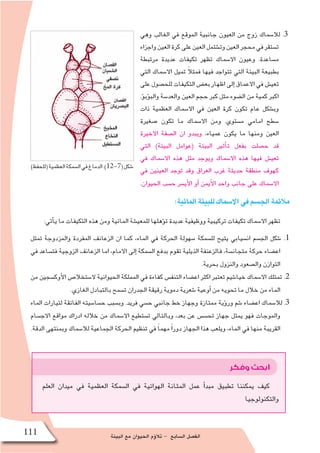 ‫البيئة‬ ‫مع‬ ‫الحيوان‬ ‫ؤم‬�‫تال‬ - ‫ال�سابع‬ ‫الف�صل‬111
‫وهي‬ ‫الغالب‬ ‫في‬ ‫الموقع‬ ‫جانبية‬ ‫العيون‬ ‫من‬ ‫زوج‬ ‫لال�سماك‬ .3
‫واجزاء‬‫العين‬‫كرة‬‫على‬‫العين‬‫وت�شتمل‬‫العين‬‫محجر‬‫في‬‫ت�ستقر‬
‫مرتبطة‬ ‫عديدة‬ ‫تكيفات‬ ‫تظهر‬ ‫اال�سماك‬ ‫وعيون‬ .‫م�ساعدة‬
‫التي‬ ‫اال�سماك‬ ‫تميل‬ ً‫ال‬‫فمث‬ ‫فيها‬ ‫تتواجد‬ ‫التي‬ ‫البيئة‬ ‫بطبيعة‬
‫على‬‫للح�صول‬‫التكيفات‬‫بع�ض‬‫اظهار‬‫إلى‬�‫االعماق‬‫في‬ ‫تعي�ش‬
.‫ؤ‬�‫ؤب‬�‫والب‬ ‫والعد�سة‬ ‫العين‬ ‫حجم‬ ‫كبر‬ ‫مثل‬ ‫ال�ضوء‬ ‫من‬ ‫كمية‬ ‫اكبر‬
‫ذات‬ ‫العظمية‬ ‫اال�سماك‬ ‫في‬ ‫العين‬ ‫كرة‬ ‫تكون‬ ‫عام‬ ‫وب�شكل‬
‫�صغيرة‬ ‫تكون‬ ‫ما‬ ‫اال�سماك‬ ‫ومن‬ .‫م�ستوي‬ ‫امامي‬ ‫�سطح‬
‫االخيرة‬ ‫ال�صفة‬ ‫ان‬ ‫ويبدو‬ ،‫عمياء‬ ‫يكون‬ ‫ما‬ ‫ومنها‬ ‫العين‬
‫التي‬ )‫البيئة‬ ‫(عوامل‬ ‫البيئة‬ ‫أثير‬�‫ت‬ ‫بفعل‬ ‫ح�صلت‬ ‫قد‬
‫في‬ ‫اال�سماك‬ ‫هذه‬ ‫مثل‬ ‫ويوجد‬ ‫اال�سماك‬ ‫هذه‬ ‫فيها‬ ‫تعي�ش‬
‫في‬ ‫العينين‬ ‫توجد‬ ‫وقد‬ ‫العراق‬ ‫غرب‬ ‫حديثة‬ ‫منطقة‬ ‫كهوف‬
.‫الحيوان‬ ‫ح�سب‬ ‫أي�سر‬‫ل‬‫ا‬ ‫أو‬� ‫أيمن‬‫ل‬‫ا‬ ‫واحد‬ ‫جانب‬ ‫على‬ ‫اال�سماك‬
:‫المائية‬‫للبيئة‬‫اال�سماك‬‫في‬‫الج�سم‬‫مالئمة‬
:‫أتي‬�‫ي‬ ‫ما‬ ‫التكيفات‬ ‫هذه‬ ‫ومن‬ ‫المائية‬ ‫للمعي�شة‬ ‫ؤهلها‬�‫ت‬ ‫عديدة‬ ‫ووظيفية‬ ‫تركيبية‬ ‫تكيفات‬ ‫اال�سماك‬ ‫تظهر‬
‫تمثل‬ ‫والمزدوجة‬ ‫المفردة‬ ‫الزعانف‬ ‫ان‬ ‫كما‬ ،‫الماء‬ ‫في‬ ‫الحركة‬ ‫�سهولة‬ ‫لل�سمكة‬ ‫يتيح‬ ‫ان�سيابي‬ ‫الج�سم‬ ‫�شكل‬ .1
‫في‬ ‫فت�ساعد‬ ‫الزوجية‬ ‫الزعانف‬ ‫اما‬ ،‫االمام‬ ‫إلى‬� ‫ال�سمكة‬ ‫بدفع‬ ‫تقوم‬ ‫الذيلية‬ ‫فالزعنفة‬ ،‫متجان�سة‬ ‫حركة‬ ‫اع�ضاء‬
.‫بحرية‬ ‫والنزول‬ ‫وال�صعود‬ ‫التوازن‬
‫من‬ ‫أوك�سجين‬‫ل‬‫ا‬ ‫ال�ستخال�ص‬ ‫الحيوانية‬ ‫المملكة‬ ‫في‬ ‫كفاءة‬ ‫التنف�س‬ ‫اع�ضاء‬ ‫اكثر‬ ‫تعتبر‬ ‫خيا�شيم‬ ‫اال�سماك‬ ‫تمتلك‬ .2
.‫الغازي‬ ‫بالتبادل‬ ‫ت�سمح‬ ‫الجدران‬ ‫رقيقة‬ ‫دموية‬ ‫�شعرية‬ ‫أوعية‬� ‫من‬ ‫تحويه‬ ‫ما‬ ‫خالل‬ ‫من‬ ‫الماء‬
‫الماء‬ ‫لتيارات‬ ‫الفائقة‬ ‫ح�سا�سيته‬ ‫وب�سبب‬ .‫فريد‬ ‫ح�سي‬ ‫جانبي‬ ‫خط‬ ‫وجهاز‬ ‫ممتازة‬ ‫ؤية‬�‫ور‬ ‫�شم‬ ‫اع�ضاء‬ ‫لال�سماك‬ .3
‫االج�سام‬ ‫مواقع‬ ‫ادراك‬ ‫خالله‬ ‫من‬ ‫اال�سماك‬ ‫ت�ستطيع‬ ‫وبالتالي‬ ،‫بعد‬ ‫عن‬ ‫تح�س�س‬ ‫جهاز‬ ‫يمثل‬ ‫فهو‬ ‫والموجات‬
.‫الدقة‬ ‫وبمنتهى‬ ‫لال�سماك‬ ‫الجماعية‬ ‫الحركة‬ ‫تنظيم‬ ‫في‬ ً‫ا‬‫مهم‬ ً‫ا‬‫دور‬ ‫الجهاز‬ ‫هذا‬ ‫ويلعب‬ ،‫الماء‬ ‫في‬ ‫منها‬ ‫القريبة‬
)‫(للحفظ‬‫العظمية‬‫ال�سمكة‬‫في‬‫الدماغ‬.)12-7(‫�شكل‬
‫وفكر‬‫ابحث‬
‫العلم‬ ‫ميدان‬ ‫في‬ ‫العظمية‬ ‫ال�سمكة‬ ‫في‬ ‫الهوائية‬ ‫المثانة‬ ‫عمل‬ ‫أ‬�‫مبد‬ ‫تطبيق‬ ‫يمكننا‬ ‫كيف‬
‫والتكنولوجيا‬
 