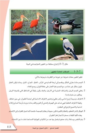 ‫البيئة‬ ‫مع‬ ‫الحيوان‬ ‫ؤم‬�‫تال‬ - ‫ال�سابع‬ ‫الف�صل‬113
‫البيئة‬ ‫في‬ ‫المتواجدة‬ ‫الطيور‬ ‫من‬ ‫مختلفة‬ ‫انواع‬ )13-7( ‫�شكل‬
‫للطيور‬ ‫العامة‬ ‫ال�صفات‬ 1-3-7
:‫آتي‬‫ل‬‫با‬ ‫نوجزها‬ ‫الفقريات‬ ‫من‬ ‫غيرها‬ ‫عن‬ ‫تميزها‬ ‫�صفات‬ ‫الطيور‬ ‫تظهر‬
‫العنق‬ ‫يكون‬ ‫وعادة‬ .‫الذيل‬ ، ‫الجذع‬ ، ‫العنق‬ ، ‫أ�س‬�‫الر‬ :‫هي‬ ‫اق�سام‬ ‫اربعة‬ ‫إلى‬� ‫وينق�سم‬ ‫ال�شكل‬ ‫مغزلي‬ ‫عادة‬ ‫الج�سم‬ .1
.‫الغذاء‬ ‫وجمع‬ ‫التوازن‬ ‫حفظ‬ ‫على‬ ‫العمل‬ ‫بغية‬ ‫الج�سم‬ ‫مع‬ ‫متنا�سب‬ ‫غير‬ ‫ب�شكل‬ ‫طويل‬
‫الري�ش‬ ‫يك�سوها‬ ‫التي‬ ‫المناطق‬ ‫في‬ ً‫ا‬‫رقيق‬ ‫يكون‬ ‫والجلد‬ ،‫االرجل‬ ‫في‬ ‫الب�شرية‬ ‫والحرا�شف‬ ‫الري�ش‬ ‫الج�سم‬ ‫يغطي‬ .2
.‫وادمة‬ ‫ب�شرة‬ ‫من‬ ‫ويتكون‬
‫تختلف‬ ‫حين‬ ‫في‬ ،‫للطيران‬ ‫اجنحة‬ ‫إلى‬� ‫االمامية‬ ‫االطراف‬ ‫وتتحور‬ )‫خلفي‬ ‫آخر‬�‫و‬ ‫امامي‬ ‫(زوج‬ ‫مزدوجة‬ ‫االطراف‬ .3
‫(ثالث‬‫ا�صابع‬‫أربعة‬�‫ب‬‫مزودة‬‫عادة‬‫والقدم‬‫العوم‬‫أو‬�‫والم�شي‬‫الهبوط‬‫على‬‫ت�ساعد‬‫فهي‬‫الخلفية‬‫االطراف‬‫وظيفة‬
.)‫الخلف‬ ‫إلى‬� ‫الرابع‬ ‫واال�صبع‬ ‫امامية‬
‫االلتحام‬‫إلى‬�‫الفقرات‬‫تميل‬‫كما‬‫ملتحمة‬‫الجمجمة‬‫وعظام‬‫مجوفة‬‫تكون‬‫الكبيرة‬‫والعظام‬،‫التعظم‬‫كامل‬‫الهيكل‬ .4
.‫الطيران‬ ‫فعل‬ ‫النجاز‬ ‫م�سخرة‬ ‫تكيفات‬ ‫كلها‬ ‫وهذه‬
.‫االح�شاء‬ ‫بين‬ ‫ما‬ ‫تمتد‬ ‫الم�ساعدة‬ ‫الهوائية‬ ‫االكيا�س‬ ‫من‬ ‫عدد‬ ‫بها‬ ‫يت�صل‬ ‫�صغيرة‬ ‫رئات‬ ‫بو�ساطة‬ ‫التنف�س‬ ‫يتم‬ .5
 