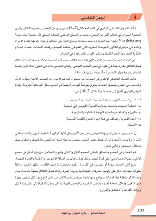 ‫البيئة‬ ‫مع‬ ‫الحيوان‬ ‫ؤم‬�‫تال‬ - ‫ال�سابع‬ ‫الف�صل‬ 122
‫التنا�سلي‬ ‫الجهاز‬ 4
‫وتكون‬ ‫ال�شكل‬ ‫بي�ضوية‬ ‫الخ�صى‬ ‫من‬ ‫زوج‬ ‫من‬ ،)18-7( ‫�شكل‬ ‫الحمامة‬ ‫في‬ ‫الذكري‬ ‫التنا�سلي‬ ‫الجهاز‬ ‫ألف‬�‫يت‬
‫منوية‬ ‫قناة‬ ‫خ�صية‬ ‫لكل‬ ‫ال�سفلي‬ ‫للن�صف‬ ‫الداخلي‬ ‫ال�سطح‬ ‫من‬ ‫ويمتد‬ .‫اليمنى‬ ‫من‬ ‫اكبر‬ ‫الغالب‬ ‫في‬ ‫الي�سرى‬ ‫الخ�صية‬
‫االلتواء‬ ‫كثيرة‬ ‫بكونها‬ ‫وتمتاز‬ ‫للحالب‬ ‫الخارجي‬ ‫لل�سطح‬ ‫محاذية‬ ‫وت�سير‬ ‫ؤخرة‬�‫الم‬ ‫نحو‬ ‫تتجه‬ )Vas deferens(
‫الجماع‬ ‫اع�ضاء‬ ‫الحمامة‬ ‫وتفتقد‬ ،‫المجمع‬ ‫منطقة‬ ‫في‬ ‫تفتح‬ ‫التي‬ ‫المنوية‬ ‫الحو�صلة‬ ‫لتكون‬ ‫ؤخرتها‬�‫م‬ ‫في‬ ‫وتت�سع‬
.‫الطيران‬ ‫في‬ ‫والم�ساعدة‬ ‫الوزن‬ ‫لتقليل‬ ‫التكيفات‬ ‫أحد‬�‫ك‬ ‫الخارجية‬ ‫الذكرية‬
‫خالل‬ ً‫ا‬‫ا�ضعاف‬ ‫حجمها‬ ‫يزداد‬ ‫الخ�صية‬ ‫أن‬�‫ف‬ ‫محدد‬ ‫تكاثر‬ ‫ف�صل‬ ‫لها‬ ‫التي‬ ‫الطيور‬ ‫من‬ ‫بالعديد‬ ‫ا�سوة‬ ‫الحمام‬ ‫وفي‬
‫عندما‬ ‫الليل‬ ‫اثناء‬ ‫الطيور‬ ‫في‬ ‫عادة‬ ‫الحيامن‬ ‫وتنتج‬ .‫الجن�سي‬ ‫الخمود‬ ‫ف�صل‬ ‫في‬ ‫عليه‬ ‫هي‬ ‫بما‬ ‫مقارنة‬ ‫التكاثر‬ ‫ف�صل‬
‫؟‬ ‫لماذا‬ .‫�سيليزية‬ ‫درجة‬ 3-2 ‫الج�سم‬ ‫حرارة‬ ‫درجة‬ ‫تنخف�ض‬
،ً‫ا‬‫اثري‬ ‫فيكون‬ ‫أيمن‬‫ل‬‫ا‬ ‫المبي�ض‬ ‫اما‬ ،‫أي�سر‬‫ل‬‫ا‬ ‫هو‬ ‫واحد‬ ‫مبي�ض‬ ‫من‬ ‫الحمامة‬ ‫في‬ ‫االنثوي‬ ‫التنا�سلي‬ ‫الجهاز‬ ‫ألف‬�‫يت‬
‫وقناة‬.‫معروفة‬‫خلية‬‫اكبر‬‫تمثل‬‫الطيور‬‫في‬‫والبي�ضة‬،‫كبيرة‬ ً‫ا‬‫بيو�ض‬‫يحوي‬‫الحمامة‬‫ب�ضمنها‬‫الطيور‬‫في‬‫والمبي�ض‬
:‫هي‬ )18-7( ‫�شكل‬ ‫اجزاء‬ ‫خم�سة‬ ‫إلى‬� ‫تتميز‬ ‫الي�سرى‬ ‫البي�ض‬
.‫المبي�ض‬ ‫من‬ ‫المفرزة‬ ‫البيو�ض‬ ‫ي�ستقبل‬ ‫الذي‬ ‫المهدب‬ ‫القمع‬ - ‫أ‬�
.‫البي�ضة‬ ‫إلى‬� ‫االلبومين‬ ‫الغدية‬ ‫جدرانها‬ ‫وت�ضيف‬ ‫المجعدة‬ ‫القطعة‬ -‫ب‬
.‫والخارجية‬ ‫الداخلية‬ ‫البي�ضة‬ ‫اغ�شية‬ ‫فيه‬ ‫وت�ضاف‬ ‫البرزخ‬ -‫جـ‬
.‫للبي�ضة‬ ‫الكل�سية‬ ‫الق�شرة‬ ‫الجزء‬ ‫هذا‬ ‫في‬ ‫وت�ضاف‬ ‫الق�شرية‬ ‫الغدة‬ - ‫د‬
.‫المهبل‬ -‫هـ‬
‫في‬ ‫والم�ساعدة‬ ‫الوزن‬ ‫لتخفيف‬ ً‫ا‬‫تركيبي‬ ً‫ا‬‫تكيف‬ ‫يمثل‬ ‫آخر‬‫ل‬‫ا‬ ‫هو‬ ‫يمنى‬ ‫بي�ض‬ ‫وقناة‬ ‫أيمن‬� ‫مبي�ض‬ ‫وجود‬ ‫عدم‬ ‫ان‬
‫حيث‬ ‫والعقاب‬ ‫ال�صقر‬ ‫مثل‬ ‫التركيبي‬ ‫الن�سق‬ ‫هذا‬ ‫من‬ ‫ت�ستثنى‬ ‫الطيور‬ ‫بع�ض‬ ‫هناك‬ ‫ان‬ ‫إلى‬� ‫اال�شارة‬ ‫من‬ ‫والبد‬ ‫الطيران‬
.‫بي�ض‬ ‫وقناتي‬ ‫مبي�ضين‬ ‫يمتلكان‬
‫مجمع‬ ‫في‬ ‫الذكر‬ ‫قبل‬ ‫من‬ ‫الحيامن‬ ‫وتطرح‬ ‫واالنثى‬ ‫للذكر‬ ‫المجمع‬ ‫فتحتي‬ ‫بانطباق‬ ‫الحمام‬ ‫في‬ ‫الجماع‬ ‫يتم‬
.‫للبي�ضة‬‫والق�شرة‬‫واالغ�شية‬‫االلبومين‬‫ا�ضافة‬‫من‬‫�ساعات‬‫عدة‬‫وقبل‬‫البي�ض‬‫قناة‬‫اعلى‬‫في‬‫االخ�صاب‬‫ويتم‬،‫االنثى‬
ً‫ا‬‫انماط‬ ‫الطيور‬ ‫وتظهر‬ ،‫الفق�س‬ ‫لحين‬ ‫باحت�ضانها‬ ‫وتقوم‬ ‫مرة‬ ‫كل‬ ‫في‬ ‫بي�ضتين‬ ‫أو‬� ‫بي�ضة‬ ‫الحمام‬ ‫انثى‬ ‫ت�ضع‬
‫حيث‬ ،‫خا�صة‬ ‫ب�صفة‬ ‫التكاثر‬ ‫ف�صل‬ ‫واثناء‬ ‫كبيرة‬ ‫بدرجة‬ ‫اجتماعية‬ ‫مخلوقات‬ ‫كونها‬ ‫على‬ ‫تدلل‬ ‫متباينة‬ ‫�سلوكية‬
‫عديدة‬ ‫ترغيب‬ ‫بو�سائل‬ ‫النوع‬ ‫نف�س‬ ‫من‬ ‫االنثى‬ ‫جذب‬ ‫ويحاول‬ ‫بقوة‬ ‫عنها‬ ‫ويدافع‬ ‫اع�شا�شه‬ ‫بناء‬ ‫منطقة‬ ‫الذكر‬ ‫يحدد‬
‫الغزل‬ ‫يتم‬ ‫حتى‬ ‫االنثى‬ ‫الذكر‬ ‫يجذب‬ ‫ان‬ ‫وما‬ ،‫اليها‬ ‫الو�صول‬ ‫من‬ ‫الذكور‬ ‫وتحذير‬ ‫نفوذه‬ ‫منطقة‬ ‫واعالن‬ ‫التغريد‬ ‫منها‬
.‫والتزاوج‬ ‫االع�شا�ش‬ ‫بناء‬ ‫ذلك‬ ‫ويرافق‬
 