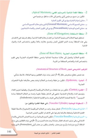 ‫البيئة‬ ‫مع‬ ‫النبات‬ ‫ؤم‬�‫تال‬ - ‫الثامن‬ ‫الف�صل‬
141
:)Apical Meristem( )‫القمي‬ ‫(المر�ستيم‬ ‫النامية‬ ‫القمة‬ ‫منطقة‬ -2
:‫هي‬ ‫مر�ستيمية‬ ‫مناطق‬ ‫ثالث‬ ‫إلى‬� ‫وتتميز‬ ‫أولي‬� ‫مر�ستيمي‬ ‫ن�سيج‬ ‫من‬ ‫تتكون‬
.‫الب�شرة‬ ‫تكوين‬ ‫إلى‬� ‫ؤدي‬�‫وي‬ ‫الب�شرة‬ )‫(مولد‬ ‫من�شئ‬ ‫ـ‬ ‫أ‬�
.‫اال�سا�سي‬ ‫الن�سيج‬ ‫خاليا‬ ‫ينتج‬ ‫الذي‬ )Ground Meristem( ‫اال�سا�سي‬ ‫الن�سيج‬ ‫من�شئ‬ ‫ـ‬ ‫ب‬
.‫االبتدائيين‬ ‫واللحاء‬ ‫الخ�شب‬ ‫تكوين‬ ‫إلى‬� ‫ؤدي‬�‫ي‬ )Procambium( ‫الوعائية‬ ‫الحزم‬ ‫من�شئ‬ ‫ـ‬ ‫جـ‬
:)Zone of Elongation( ‫اال�ستطالة‬ ‫منطقة‬ -3
.‫االنق�سام‬‫على‬‫قدرتها‬‫وتفقد‬،‫النامية‬‫القمة‬‫خاليا‬‫انق�سام‬‫من‬‫الناتجة‬‫المر�ستيمية‬‫الخاليا‬‫فيها‬‫ت�ستطيل‬
‫والمواد‬ ‫الماء‬ ‫بامت�صا�ص‬ ‫وتقوم‬ ‫بالغة‬ ‫خالياه‬ ‫وت�صبح‬ ‫للجذر‬ ‫الطولي‬ ‫النمو‬ ‫يحدث‬ ‫المنطقة‬ ‫هذه‬ ‫وفي‬
.‫الذائبة‬
:)Zone of Root Hairs( ‫الجذرية‬ ‫ال�شعيرات‬ ‫منطقة‬ -4
‫تقوم‬ ‫وهي‬ ‫الجذرية‬ ‫ال�شعيرات‬ ‫منطقة‬ ‫وت�سمى‬ ‫ابتدائية‬ ‫م�ستديمة‬ ‫خاليا‬ ‫إلى‬� ‫وتتحول‬ ‫الخاليا‬ ‫تن�ضج‬
.‫التربة‬ ‫من‬ ‫المختلفة‬ ‫والعنا�صر‬ ‫الماء‬ ‫بامت�صا�ص‬
:)Anatomical Structure of Root( ‫للجذر‬ ‫الت�شريحي‬ ‫التركيب‬
:‫أتي‬�‫ماي‬ ‫نالحظ‬ ‫الباقالء‬ ‫ومنها‬ ‫الفلقتين‬ ‫ذوات‬ ‫نبات‬ ‫لجذر‬ )3-8( ‫�شكل‬ ‫م�ستعر�ض‬ ‫مقطع‬ ‫فح�ص‬ ‫عند‬
‫ال�شعيرات‬ ‫مكونة‬ ‫خالياها‬ ‫بع�ض‬ ‫وتمتد‬ ‫الخاليا‬ ‫من‬ ‫واحدة‬ ‫طبقة‬ ‫من‬ ‫تتكون‬ :)Epidermis( ‫الب�شرة‬ -1
.‫الجذرية‬
‫الغذاء‬‫تخزين‬‫وظيفتها‬.)‫(الح�شوية‬‫البرنكيمية‬‫الخاليا‬‫من‬‫طبقات‬‫عدة‬‫من‬‫تتكون‬ :)Cortex( ‫الق�شرة‬ - 2
‫بمادة‬ ‫المغلظة‬ ‫الخاليا‬ ‫من‬ ‫واحدة‬ ‫خلوية‬ ‫بطبقة‬ ‫الداخل‬ ‫إلى‬� ‫تنتهي‬ ،‫المعدنية‬ ‫إمالح‬‫ل‬‫وا‬ ‫الماء‬ ‫وتو�صيل‬
.)Endodermis ( ‫الداخلية‬ ‫الق�شرة‬ ‫با�سم‬ ‫تعرف‬ ‫والتي‬ )‫التالية‬ ‫ال�صفحة‬ ‫(الحظ‬ *‫ال�سوبرين‬
:‫من‬ ‫وتتكون‬ ‫الق�شرة‬ ‫طبقة‬ ‫تلي‬ :)Vascular Cylinder( ‫الوعائية‬ ‫اال�سطوانة‬ - 3
‫لطبقة‬ ‫مال�صقة‬ )‫(الح�شوية‬ ‫البرنكيمية‬ ‫الخاليا‬ ‫من‬ ‫واحد‬ ‫ب�صف‬ ‫تتمثل‬ :)Pericycle( ‫المحيطية‬ ‫الدائرة‬ - ‫أ‬�
.‫الجانبية‬ ‫الجذور‬ ‫لتكوين‬ ‫االنق�سام‬ ‫على‬ ‫بقدرتها‬ ‫خالياها‬ ‫وتحتفظ‬ ‫الداخلية‬ ‫الق�شرة‬
‫واللحاء‬‫االبتدائي‬‫الخ�شب‬‫ان�سجة‬‫من‬‫الوعائية‬‫الحزم‬‫تتكون‬:)VascularBundles(‫الوعائية‬‫الحزم‬-‫ب‬
‫نبات‬‫وفي‬‫الفلقتين‬‫ذوات‬‫في‬)8-2(‫من‬‫الحزم‬‫هذه‬‫وعدد‬‫متبادلة‬‫اقطار‬‫ان�صاف‬‫ترتيب‬‫وعلى‬‫االبتدائي‬
‫يتجه‬ ‫الذي‬ ،)Protoxylem( ‫أولي‬� ‫خ�شب‬ ‫من‬ ‫يتكون‬ ‫والخ�شب‬ .‫خ�شب‬ ‫حزم‬ ‫أربع‬�‫و‬ ‫لحاء‬ ‫حزم‬ ‫أربع‬� ‫الباقالء‬
 