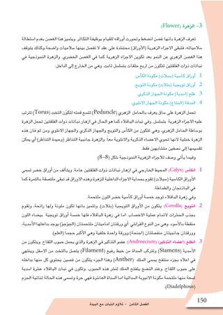 ‫البيئة‬ ‫مع‬ ‫النبات‬ ‫ؤم‬�‫تال‬ - ‫الثامن‬ ‫الف�صل‬
150
:)Flower( ‫الزهرة‬ -3
‫ا�ستطالة‬ ‫بعدم‬ ‫الغ�صن‬ ‫هذا‬ ‫ويتميز‬ .‫التكاثر‬ ‫بوظيفة‬ ‫للقيام‬ ‫أوراقه‬� ‫وتحورت‬ ‫ان�ضغط‬ ‫غ�صن‬ ‫بانها‬ ‫الزهرة‬ ‫تعرف‬
‫يتوقف‬ ‫وا�ضحة.وكذلك‬ ‫�سالميات‬ ‫بينها‬ ‫تف�صل‬ ‫ال‬ ‫عقد‬ ‫على‬ ‫محت�شدة‬ )‫أوراق‬‫ل‬‫(ا‬ ‫الزهرية‬ ‫االجزاء‬ ‫فتبقى‬ ،‫�سالمياته‬
‫في‬ ‫النموذجية‬ ‫والزهرة‬ .‫الخ�ضري‬ ‫الغ�صن‬ ‫في‬ ‫كما‬ ‫الزهرية‬ ‫االجزاء‬ ‫تكوين‬ ‫بعد‬ ‫النمو‬ ‫عن‬ ‫الزهري‬ ‫الغ�صن‬ ‫هذا‬
:‫الداخل‬ ‫إلى‬� ‫الخارج‬ ‫من‬ ‫وهي‬ .‫ثابت‬ ‫بت�سل�سل‬ ‫حلقات‬ ‫اربع‬ ‫من‬ ‫تتكون‬ ‫الفلقتين‬ ‫ذوات‬ ‫نباتات‬
11 ..‫أ�س‬�‫الك‬ ‫مكونة‬ )‫(�سبالت‬ ‫كا�سية‬ ‫أوراق‬�
22 ..‫التويج‬ ‫مكونة‬ )‫(بتالت‬ ‫تويجية‬ ‫أوراق‬�
33 ..‫الذكري‬ ‫الجهاز‬ ‫مكونة‬ )‫(ا�سدية‬ ‫طلع‬
44 ..‫االنثوي‬ ‫الجهاز‬ ‫مكونة‬ )‫(المتاع‬ ‫المدقة‬
‫تترتب‬)Torus(‫التخت‬‫ن‬ّ‫لتكو‬‫قمته‬‫تت�سع‬)Peduncle(‫الزهري‬ ‫بالحامل‬‫يعرف‬‫�ساق‬‫على‬‫الزهرة‬‫تحمل‬
‫الزهرة‬ ‫تحمل‬ ‫الفلقتين‬ ‫ذوات‬ ‫نباتات‬ ‫ازهار‬ ‫في‬ ‫الحال‬ ‫هو‬ ‫كما‬ ‫الباقالء‬ ‫نبات‬ ‫وفي‬ .‫بت�سل�سل‬ ‫الزهرية‬ ‫االجزاء‬ ‫عليه‬
‫هذه‬ ‫فان‬ ‫ثم‬ ‫ومن‬ ‫االنثوي‬ ‫والجهاز‬ ‫الذكري‬ ‫والجهاز‬ ‫والتويج‬ ‫أ�س‬�‫الك‬ ‫من‬ ‫تتكون‬ ‫وهي‬ ،‫الزهري‬ ‫الحامل‬ ‫بو�ساطة‬
‫يمكن‬ ‫أي‬� )‫التناظر‬ ‫(وحيدة‬ ‫التناظر‬ ‫جانبية‬ ‫والزهرة‬ .ً‫ا‬‫مع‬ ‫واالنثوية‬ ‫الذكرية‬ ‫االع�ضاء‬ ‫تحوي‬ ‫النها‬ ‫خنثية‬ ‫الزهرة‬
.‫فقط‬ ‫مت�شابهين‬ ‫ن�صفين‬ ‫إلى‬� ‫تق�سيمها‬
:)8-8( ‫�شكل‬ ‫النموذجية‬ ‫الزهرية‬ ‫لالجزاء‬ ‫و�صف‬ ‫أتي‬�‫ي‬ ‫وفيما‬
11 .‫ت�سمى‬ ‫خ�ضر‬ ‫أوراق‬� ‫من‬ ‫ألف‬�‫ويت‬ .‫عامة‬ ‫الفلقتين‬ ‫ذوات‬ ‫نباتات‬ ‫ازهار‬ ‫في‬ ‫الخارجي‬ ‫المحيط‬ :)Calyx( ‫أ�س‬�‫الك‬
‫كما‬‫بالثمرة‬‫ملت�صقة‬‫تبقى‬‫قد‬‫االوراق‬‫وهذه‬‫للزهرة‬‫الداخلية‬‫االجزاء‬‫بحماية‬‫تقوم‬)‫(�سبالت‬‫الكا�سية‬‫أوراق‬‫ل‬‫ا‬
.‫والطماطة‬ ‫الباذنجان‬ ‫في‬
.‫ملتحمة‬ ‫اللون‬ ‫خ�ضر‬ ‫أ�سية‬�‫ك‬ ‫أوراق‬� ‫خم�سة‬ ‫توجد‬ ‫الباقالء‬ ‫زهرة‬ ‫وفي‬
22 .‫وتقوم‬ ،‫رائحة‬ ‫ولها‬ ‫ملونة‬ ‫تكون‬ ‫بانها‬ ‫وتتميز‬ .)‫(بتالت‬ ‫التويجية‬ ‫أوراق‬‫ل‬‫ا‬ ‫من‬ ‫يتكون‬ :)Corolla( ‫التويج‬
‫اللون‬ ‫بي�ضاء‬ ‫تويجية‬ ‫أوراق‬� ‫خم�سة‬ ‫فلها‬ ‫الباقالء‬ ‫زهرة‬ ‫في‬ ‫اما‬ .‫االخ�صاب‬ ‫عملية‬ ‫التمام‬ ‫الح�شرات‬ ‫بجذب‬
،‫أ�سدية‬‫ل‬‫ا‬ ‫بداخلها‬ ‫يوجد‬ )‫ؤ‬�‫ؤج‬�‫(الج‬ ‫ملتحمتان‬ ‫اماميتان‬ ‫ورقتان‬ ‫أي‬� ‫الفرا�شي‬ ‫النوع‬ ‫من‬ ‫وهي‬ .‫أ�سود‬‫ل‬‫با‬ ‫منقطة‬
.)‫(العلم‬ ً‫ا‬‫حجم‬ ‫أكبر‬‫ل‬‫ا‬ ‫وهي‬ ‫خلفية‬ ‫واحدة‬ ‫وورقة‬ )‫(اجنحة‬ ‫منف�صلتان‬ ‫جانبيتان‬ ‫وورقتان‬
33 .‫من‬ ‫ويتكون‬ .‫اللقاح‬ ‫حبوب‬ ‫يحمل‬ ‫والذي‬ ‫الزهرة‬ ‫في‬ ‫التذكير‬ ‫ع�ضو‬ :)Androecium( )‫التذكير‬ ‫(اع�ضاء‬ ‫الطلع‬
‫وينتهي‬ ‫اال�سفل‬ ‫من‬ ‫بالتخت‬ ‫يت�صل‬ )Filament( ‫رفيع‬ ‫خيط‬ ‫من‬ ‫ال�سداة‬ ‫وتتركب‬ )Stamens( ‫أ�سدية‬‫ل‬‫ا‬
‫بداخله‬ ‫منها‬ ‫كل‬ ‫يحتوي‬ ‫ف�صين‬ ‫من‬ ‫يتكون‬ ‫الجزء‬ ‫وهذا‬ )Anther( ‫المتك‬ ‫ي�سمى‬ ‫منتفخ‬ ‫بجزء‬ ‫اعاله‬ ‫في‬
‫ا�سدية‬ ‫ع�شرة‬ ‫الباقالء‬ ‫نبات‬ ‫في‬ ‫وتكون‬ .‫الحبوب‬ ‫هذه‬ ‫لن�شر‬ ‫المتك‬ ‫يتفتح‬ ‫الن�ضج‬ ‫وعند‬ .‫اللقاح‬ ‫حبوب‬ ‫على‬
‫الحزم‬ ‫ثنائية‬ ‫الحالة‬ ‫هذه‬ ‫وت�سمى‬ ‫حرة‬ ‫فهي‬ ‫العا�شرة‬ ‫ال�سداة‬ ‫اما‬ ‫ال�سداتية‬ ‫االنبوبة‬ ‫مكونة‬ ‫ملتحمة‬ ‫منها‬ ‫ت�سعة‬
.)Diadelphous(
 