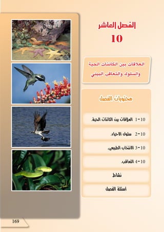 169
.‫الحية‬ ‫الكائنات‬ ‫بين‬ ‫العالقات‬ 1-10
.‫االحياء‬ ‫سلوك‬ 2-10
.‫الطبيعي‬ ‫االنتخاب‬ 3-10
.‫التعاقب‬ 4-10
‫نشاط‬
‫الفصل‬ ‫أسئلة‬
‫الحية‬ ‫الكائنات‬ ‫بين‬ ‫العالقات‬
‫البيئي‬ ‫والتعاقب‬ ‫وال�سلوك‬
169
‫العاشر‬‫الفصل‬
10
‫الفصل‬ ‫محتويات‬
 