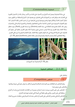 ‫البيئي‬ ‫والتعاقب‬ ‫وال�سلوك‬ ‫الحية‬ ‫الكائنات‬ ‫بين‬ ‫العالقات‬ - ‫العا�شر‬ ‫الف�صل‬ 172
)Commensalism( ‫المعاي�شة‬ 2
‫الكبيرة‬ ‫اال�شجار‬ ‫ان‬ ‫ذلك‬ ‫ومثال‬ .‫آخر‬‫ل‬‫ا‬ ‫من‬ ‫فائدة‬ ‫على‬ ‫االحياء‬ ‫من‬ ‫االنواع‬ ‫احد‬ ‫يح�صل‬ ‫المعاي�شة‬ ‫حالة‬ ‫في‬
‫حيث‬‫الطيور‬‫من‬‫المختلفة‬‫االنواع‬ ‫مثل‬‫بع�ضها‬‫مع‬‫تتعاي�ش‬‫التي‬‫الحيوانات‬‫من‬‫لعدد‬‫مواطن‬‫تعد‬‫الغابات‬‫في‬
‫كما‬ ،‫اال�شجار‬ ‫لتلك‬ ‫ال�ضرر‬ ‫ت�سبب‬ ‫ان‬ ‫دون‬ ‫افراخها‬ ‫وتربي‬ ‫بيو�ضها‬ ‫وت�ضع‬ ‫فيها‬ ‫وتتكاثر‬ ‫الغابة‬ ‫أ�شجار‬� ‫ت�سكن‬
‫والح�شرات‬ ‫وال�سحالي‬ ‫ال�شجرية‬ ‫وال�ضفادع‬ ‫للخفافي�ش‬ ‫مالجئ‬ ‫الداعمة‬ ‫الجذور‬ ‫بين‬ ‫الموجودة‬ ‫الفجوات‬ ‫توفر‬
‫تتعلق‬ ‫حيث‬ )Shark( ‫القر�ش‬ ‫ا�سماك‬ ‫مع‬ )Remora( ‫الل�شك‬ ‫�سمك‬ ‫في‬ ‫العالقة‬ ‫هذه‬ ‫تت�ضح‬ ‫كذلك‬ .‫ذلك‬ ‫وغير‬
‫آخر‬� ‫موقع‬ ‫إلى‬� ‫بنقلها‬ ‫القر�ش‬ ‫يقوم‬ ‫لذلك‬ ‫ونتيجة‬ ‫قوي‬ ‫محجمي‬ ‫قر�ص‬ ‫بو�ساطة‬ ‫القر�ش‬ ‫بجلد‬ ‫الل�شك‬ ‫�سمكة‬
.‫القر�ش‬ ‫فكي‬ ‫بين‬ ‫المطروحة‬ ‫الطعام‬ ‫بقايا‬ ‫الل�شك‬ ‫�سمكة‬ ‫تلتهم‬ ‫الوقت‬ ‫ذات‬ ‫في‬ ‫ال�سريعة‬ ‫الحركة‬ ‫على‬ ‫لقابليته‬
. )2-10( ‫ال�شكل‬ )Symbiosis( ‫تكافل‬ ‫عالقة‬ ‫تمثل‬ )‫والمعاي�شة‬ ‫المنفعة‬ ‫(تبادل‬ ‫أعاله‬� ‫العالقتين‬ ‫وكال‬
‫ال�سلبية‬ ‫العالقات‬ 2-1-10
: ‫على‬ ‫وت�شتمل‬
)Competition( ‫التناف�س‬ 1
،‫وبقائها‬‫نموها‬‫في‬ ً‫ا‬‫�سلبي‬‫ؤثر‬�‫ي‬‫مما‬‫اكثر‬‫أو‬�‫لنوعين‬‫ال�سكانية‬‫الجماعات‬‫بين‬‫العالقات‬‫احد‬‫التناف�س‬‫يمثل‬
:‫هما‬ ‫نوعين‬ ‫على‬ ‫والتناف�س‬
‫أنواع‬‫ل‬ ‫أو‬� ‫واحد‬ ‫لنوع‬ ‫العائدة‬ ‫الكائنات‬ ‫من‬ ‫مجموعة‬ ‫تحتاج‬ ‫عندما‬ ‫ويحدث‬ ‫المورد‬ ‫نف�س‬ ‫على‬ ‫التناف�س‬ - ‫أ‬�
.‫االنواع‬ ‫هذه‬ ‫فيها‬ ‫تتواجد‬ ‫التي‬ ‫البيئة‬ ‫في‬ ً‫ال‬‫قلي‬ ‫يكون‬ ‫والذي‬ ‫المورد‬ ‫نف�س‬ ‫إلى‬� ‫مختلفة‬
‫لبقاء‬‫�ضرورية‬‫متطلبات‬‫وهي‬‫الحياة‬‫م�ضادات‬‫تناف�س‬‫أو‬�‫ال�ضوء‬‫على‬‫التناف�س‬‫يت�ضمن‬‫الداخلي‬‫التناف�س‬-‫ب‬
.‫ع‬ ‫النو‬
‫الحيوانات‬ ‫عند‬ ‫المعاي�شة‬ )2-10( ‫�شكل‬
 