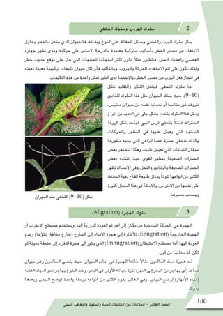 ‫البيئي‬ ‫والتعاقب‬ ‫وال�سلوك‬ ‫الحية‬ ‫الكائنات‬ ‫بين‬ ‫العالقات‬ - ‫العا�شر‬ ‫الف�صل‬ 180
‫الحيوان‬ ‫عند‬ ‫التخفي‬ )9-10( ‫�شكل‬
‫التخفي‬ ‫و�سلوك‬ ‫الهروب‬ ‫�سلوك‬ 2
‫يحاول‬ ‫بالخطر‬ ‫ي�شعر‬ ‫الذي‬ ‫فالحيوان‬ ،‫وبقائه‬ ‫النوع‬ ‫على‬ ‫للحفاظ‬ ‫و�سائل‬ ‫والتخفي‬ ‫الهرب‬ ‫�سلوك‬ ‫يمثل‬
‫جهازه‬ ‫تطور‬ ‫ومدى‬ ‫حركته‬ ‫على‬ ‫اال�سا�س‬ ‫بالدرجة‬ ‫معتمدة‬ ‫�سلوكية‬ ‫أ�ساليب‬�‫ب‬ ‫الخطر‬ ‫م�صدر‬ ‫عن‬ ‫االبتعاد‬
‫خطر‬ ‫حدوث‬ ‫توقع‬ ‫على‬ ‫تدل‬ ‫التي‬ ‫للمنبهات‬ ‫ا�ستجابة‬ ‫اكثر‬ ‫تكون‬ ً‫ال‬‫مث‬ ‫فالطيور‬ .‫الح�س‬ ‫واع�ضاء‬ ‫الع�صبي‬
‫تعينه‬ ‫معينة‬ ‫تركيبية‬ ‫تكيفات‬ ‫حيوان‬ ‫لكل‬ ‫أن‬�‫ف‬ ‫أكيد‬�‫وبالت‬ .‫والهروب‬ ‫للحركة‬ ‫اال�ستعداد‬ ‫اتم‬ ‫على‬ ‫تكون‬ ‫ولذلك‬
.‫التكيفات‬ ‫هذه‬ ‫من‬ ‫واحدة‬ ‫تمثل‬ ‫الطير‬ ‫لدى‬ ‫واالجنحة‬ ،‫الخطر‬ ‫م�صدر‬ ‫من‬ ‫الهرب‬ ‫فعل‬ ‫انجاز‬ ‫في‬
‫�شكل‬ ‫والتقليد‬ ‫التنكر‬ ‫في�شمل‬ ‫التخفي‬ ‫�سلوك‬ ‫اما‬
‫لتفادي‬ ‫ال�سلوك‬ ‫هذا‬ ‫مثل‬ ‫الحيوان‬ ‫ي�سلك‬ ‫حيث‬ ،)9-10(
،‫مفتر�س‬ ‫ن‬ ‫حيوا‬ ‫من‬ ‫نف�سه‬ ‫لحماية‬ ‫أو‬� ‫منا�سبة‬ ‫غير‬ ‫ظروف‬
‫انواع‬ ‫من‬ ‫العديد‬ ‫في‬ ‫جلي‬ ‫ب�شكل‬ ‫يت�ضح‬ ‫ال�سلوك‬ ‫هذا‬ ‫ومثل‬
‫الورقة‬ ‫�شكل‬ ‫أخذ‬�‫في‬ ‫النبي‬ ‫فر�س‬ ‫يتخفى‬ ً‫ال‬‫فمث‬ ‫الح�شرات‬
،‫والحركات‬ ‫المظهر‬ ‫في‬ ‫عليها‬ ‫يعي�ش‬ ‫التي‬ ‫النباتية‬
‫مظهرها‬ ‫ي�شبه‬ ‫التي‬ ‫الراعي‬ ‫ع�صا‬ ‫ح�شرة‬ ‫تتخفى‬ ‫وكذلك‬
‫بع�ض‬ ‫تتظاهر‬ ‫وهكذا‬ ،‫عليها‬ ‫تعي�ش‬ ‫التي‬ ‫النباتات‬ ‫�سيقان‬
‫بع�ض‬ ‫تت�شبه‬ ‫حيث‬ ‫القوي‬ ‫بمظهر‬ ‫ال�ضعيفة‬ ‫الح�شرات‬
‫تظهر‬‫اال�سماك‬‫وفي‬.‫والنحل‬‫بالزنابير‬‫ال�ضعيفة‬‫الح�شرات‬
‫الحفاظ‬‫بغية‬‫القاع‬‫طبيعة‬‫يماثل‬ ً‫ا‬‫تلون‬‫انواعها‬‫من‬‫الكثير‬
‫كثيرة‬‫المجال‬‫هذا‬‫في‬‫واالمثلة‬،‫االفترا�س‬‫من‬‫نف�سها‬‫على‬
.‫ح�صرها‬ ‫وي�صعب‬
)Migration( ‫الهجرة‬ ‫�سلوك‬ 3
‫أو‬� ‫االغتراب‬ ‫م�صطلح‬ ‫وي�ستخدم‬ .‫اليه‬ ‫الدورية‬ ‫العودة‬ ‫ثم‬ ‫آخر‬� ‫إلى‬� ‫مكان‬ ‫من‬ ‫المبا�شرة‬ ‫الحركة‬ :‫هي‬ ‫الهجرة‬
‫وعدم‬ )‫ؤها‬�‫ش‬�‫ن‬ ‫مناطق‬ ‫(خارج‬ ‫الخارج‬ ‫إلى‬� ‫االفراد‬ ‫هجرة‬ ‫إلى‬� ‫أ�شارة‬‫ل‬‫ل‬ )Emigration( ‫الخارجية‬ ‫الهجرة‬
‫لم‬ ‫معينة‬ ‫منطقة‬ ‫إلى‬� ‫االفراد‬ ‫هجرة‬ ‫إلى‬� ‫ي�شير‬ ‫الذي‬ )Immigration( ‫اال�ستيطان‬ ‫م�صطلح‬ ‫أما‬� .‫اليها‬ ‫العودة‬
.‫قبل‬ ‫من‬ ‫دخلتها‬ ‫قد‬ ‫تكن‬
‫حيوان‬ ‫وهو‬ ‫ال�سالمون‬ ‫يق�ضي‬ ‫حيث‬ ،‫الحيوان‬ ‫عالم‬ ‫في‬ ‫للهجرة‬ ً‫ا‬‫�شائع‬ ً‫ال‬‫مثا‬ ‫ال�سالمون‬ ‫�سمك‬ ‫هجرة‬ ‫تعد‬
‫العذبة‬ ‫المياه‬ ‫نحو‬ ‫يهاجر‬ ‫البلوغ‬ ‫وعند‬ ،‫البحر‬ ‫في‬ ‫أولى‬‫ل‬‫ا‬ ‫حياته‬ ‫فترة‬ )‫النهر‬ ‫إلى‬� ‫البحر‬ ‫من‬ ‫يهاجر‬ ‫أي‬�( ‫�صاعد‬
‫وبعدها‬ ‫البي�ض‬ ‫لو�ضع‬ ‫واحدة‬ ‫برحلة‬ ‫انواعه‬ ‫من‬ ‫الكثير‬ ‫يقوم‬ ‫الغالب‬ ‫وفي‬ .‫البي�ض‬ ‫لو�ضع‬ )‫أنهار‬‫ل‬‫ا‬ ‫(مياه‬
.‫يموت‬
 