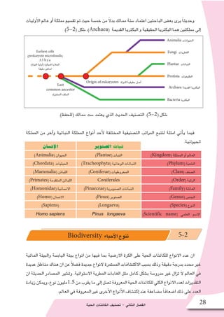 ‫الحية‬ ‫الكائنات‬ ‫ت�صنيف‬ - ‫الثاني‬ ‫الف�صل‬ 28
‫أوليات‬‫ل‬‫ا‬ ‫عالم‬ ‫أو‬� ‫مملكة‬ ‫تق�سيم‬ ‫تم‬ ‫حيث‬ ‫خم�سة‬ ‫من‬ ً‫ال‬‫بد‬ ‫ممالك‬ ‫�ستة‬ ‫اعتماد‬ ‫الباحثين‬ ‫بع�ض‬ ‫يرى‬ ً‫ا‬‫وحديث‬
.)5-2( ‫�شكل‬ ،)Archaea( ‫القديمة‬ ‫البكتريا‬ ‫و‬ ‫الحقيقية‬ ‫البكتريا‬ ‫هما‬ ‫مملكتين‬ ‫إلى‬�
.)‫(للحفظ‬ ‫ممالك‬ ‫�ست‬ ‫يعتمد‬ ‫الذي‬ ‫الحديث‬ ‫الت�صنيف‬ .)5-2( ‫�شكل‬
‫المملكة‬ ‫من‬ ‫آخر‬�‫و‬ ‫النباتية‬ ‫المملكة‬ ‫أنواع‬� ‫أحد‬‫ل‬ ‫المختلفة‬ ‫الت�صنيفية‬ ‫المراتب‬ ‫لتتبع‬ ‫امثلة‬ ‫أتي‬�‫ي‬ ‫فيما‬
:‫الحيوانية‬
‫المائية‬ ‫والبيئة‬ ‫الياب�سة‬ ‫بيئة‬ ‫انواع‬ ‫من‬ ‫فيها‬ ‫بما‬ ‫االر�ضية‬ ‫الكرة‬ ‫على‬ ‫الحية‬ ‫للكائنات‬ ‫االنواع‬ ‫عدد‬ ‫ان‬
‫عديدة‬ ‫مناطق‬ ‫هناك‬ ‫ان‬ ‫عن‬ ً‫ال‬‫ف�ض‬ ‫جديدة‬ ‫النواع‬ ‫الم�ستمرة‬ ‫االكت�شافات‬ ‫ب�سبب‬ ‫وذلك‬ ‫دقيقة‬ ‫بدرجة‬ ‫محدد‬ ‫غير‬
‫ان‬ ‫الحديثة‬ ‫الم�صادر‬ ‫وت�شير‬ .‫اال�ستوائية‬ ‫المطرية‬ ‫الغابات‬ ‫مثل‬ ‫كامل‬ ‫ب�شكل‬ ‫مدرو�سة‬ ‫غير‬ ‫تزال‬ ‫ال‬ ‫العالم‬ ‫في‬
‫زيادة‬‫ويمكن‬،‫نوع‬‫5.1مليون‬‫من‬‫يقرب‬‫ما‬‫إلى‬�‫ت�صل‬‫المعروفة‬‫الحية‬‫للكائنات‬‫الكلي‬‫االنواع‬‫لعدد‬‫التقديرات‬
.‫العالم‬ ‫في‬ ‫المعروفة‬ ‫غير‬ ‫أخرى‬‫ل‬‫ا‬ ‫أنواع‬‫ل‬‫ا‬ ‫إكت�شاف‬� ‫عند‬ ‫م�ضاعفة‬ ً‫ا‬‫ا�ضعاف‬ ‫ذلك‬ ‫على‬ ‫العدد‬
Origin of eukaryotes ‫النواة‬ ‫حقيقية‬ ‫أ�صل‬�
Fungi ‫الفطريات‬
Animalia ‫الحيوانات‬
Plantae ‫النباتات‬
Protista ‫الطليعيات‬
Archaea ‫القديمة‬ ‫البكتريا‬
Bacteria ‫البكتريا‬
Last
common ancestor
‫الم�شترك‬ ‫ال�سلف‬
Earliest cells
(prokaryote microfossils)
3.5 b.y.a.
)‫النواة‬ ‫أولية‬�( ‫المبكرة‬ ‫الخاليا‬
‫دقيقة‬ ‫احافير‬
‫ال�صنوبر‬‫نبات‬‫إن�سان‬‫ل‬‫ا‬
)Kingdom( ‫المملكة‬ ‫أو‬� ‫العالم‬)Plantae( ‫النبات‬)Animalia( ‫الحيوان‬
)Phylum( ‫ال�شعبة‬)Tracheophyta( ‫الوعائية‬ ‫النباتات‬)Chordata( ‫الحبليات‬
)Class( ‫ال�صنف‬)Coniferae( ‫المخروطيات‬)Mammalia( ‫اللبائن‬
)Order( ‫الرتبة‬Coniferales)Primates( ‫المتقدمة‬ ‫اللبائن‬
)Family( ‫العائلة‬)Pinaeceae( ‫ال�صنوبرية‬ ‫النباتات‬)Homonidae( ‫االن�سانية‬
)Genus( ‫الجن�س‬)Pinus( ‫ال�صنوبر‬)Homo( ‫االن�سان‬
)Species( ‫النوع‬)Longaeva((Sapiens)
)Scientific name( ‫العلمي‬ ‫اال�سم‬Pinus longaevaHomo sapiens
Biodiversity ‫أحياء‬‫ل‬‫ا‬‫تنوع‬ 5-2
 