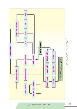 ‫البيئي‬ ‫والنظام‬ ‫البيئة‬ ‫علم‬ - ‫الثالث‬ ‫الف�صل‬ 38
‫البيئي‬‫النظام‬
‫الحية‬‫المكونات‬
‫حمللة‬‫كائنات‬‫م�ستهلكة‬‫كائنات‬‫منتجة‬‫كائنات‬
‫خ�ضر‬‫نباتات‬‫بكرتيا‬
‫هواء‬
‫التغذية‬‫متعددة‬
‫االن�سان‬
‫اللحوم‬‫آكلة‬�
‫ال�ضواري‬
‫النباتات‬‫آكلة‬�
‫االغنام‬
‫تربة‬‫ماء‬‫�شم�س‬
‫فطريات‬
‫الحية‬‫غير‬‫المكونات‬
‫المحلالت‬‫بو�ساطة‬‫جميعها‬‫تتحلل‬
‫غذائها‬‫في‬‫تعتمد‬
.)‫(للحفظ‬‫البيئي‬‫النظام‬‫مكونات‬)2-3(‫ال�شكل‬
 