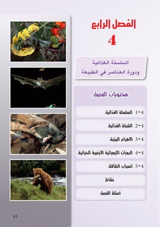 ‫الرابع‬‫الفصل‬
.‫الغذائية‬ ‫السلسلة‬ 1-4
.‫الغذائية‬ ‫الشبكة‬ 2-4
.‫البيئية‬ ‫االهرام‬ 3-4
.‫الحياتية‬ ‫االرضية‬ ‫الكيميائية‬ ‫الدورات‬ 4-4
.‫الطاقة‬ ‫انسياب‬ 5-4
‫نشاط‬
‫الفصل‬ ‫أسئلة‬
‫الفصل‬ ‫محتويات‬
43
4
‫الغذائية‬ ‫ال�سل�سلة‬
‫الطبيعة‬ ‫في‬ ‫العنا�صر‬ ‫ودورة‬
 