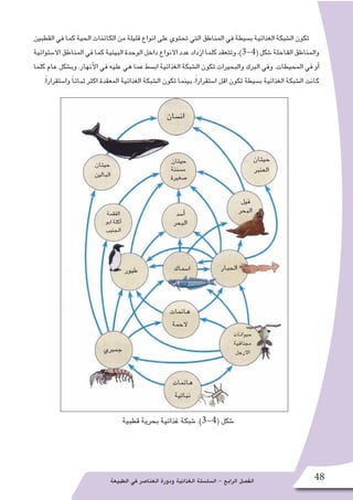 ‫الطبيعة‬ ‫في‬ ‫العنا�صر‬ ‫ودورة‬ ‫الغذائية‬ ‫ال�سل�سلة‬ - ‫الرابع‬ ‫الف�صل‬ 48
‫القطبين‬ ‫في‬ ‫كما‬ ‫الحية‬ ‫الكائنات‬ ‫من‬ ‫قليلة‬ ‫انواع‬ ‫على‬ ‫تحتوي‬ ‫التي‬ ‫المناطق‬ ‫في‬ ‫ب�سيطة‬ ‫الغذائية‬ ‫ال�شبكة‬ ‫تكون‬
‫اال�ستوائية‬‫المناطق‬‫في‬‫كما‬‫البيئية‬‫الوحدة‬‫داخل‬‫االنواع‬‫عدد‬‫ازداد‬‫كلما‬‫وتتعقد‬،)3-4(‫�شكل‬‫القاحلة‬‫والمناطق‬
‫كلما‬ ‫عام‬ ‫وب�شكل‬ .‫أنهار‬‫ل‬‫ا‬ ‫في‬ ‫عليه‬ ‫هي‬ ‫عما‬ ‫اب�سط‬ ‫الغذائية‬ ‫ال�شبكة‬ ‫تكون‬ ‫والبحيرات‬ ‫البرك‬ ‫وفي‬ .‫المحيطات‬ ‫في‬ ‫أو‬�
.ً‫ا‬‫وا�ستقرار‬ ً‫ا‬‫ثبات‬ ‫اكثر‬ ‫المعقدة‬ ‫الغذائية‬ ‫ال�شبكة‬ ‫تكون‬ ‫بينما‬ ،ً‫ا‬‫ا�ستقرار‬ ‫اقل‬ ‫تكون‬ ‫ب�سيطة‬ ‫الغذائية‬ ‫ال�شبكة‬ ‫كانت‬
‫قطبية‬ ‫بحرية‬ ‫غذائية‬ ‫�شبكة‬ .)3-4( ‫�شكل‬
‫ان�سان‬
‫حيتان‬
‫العنبر‬
‫حيتان‬
‫م�سننة‬
‫�صغيرة‬
‫حيتان‬
‫البالين‬
‫الحبار‬‫ا�سماك‬
‫أ�سد‬�
‫البحر‬
‫فيل‬
‫البحر‬
‫طيور‬
‫هائمات‬
‫الحمة‬
‫حيوانات‬
‫مجذافية‬
‫االرجل‬
‫الفقمة‬
‫ابو‬ ‫آكلة‬�
‫الجنيب‬
‫جمبري‬
‫هائمات‬
‫نباتية‬
 