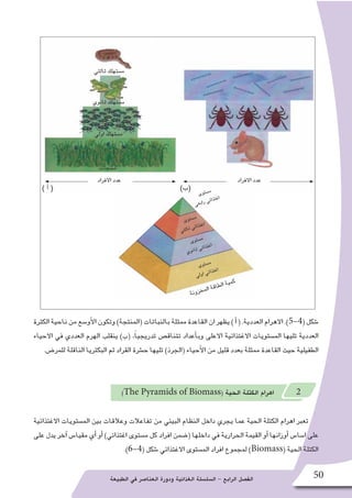 ‫الطبيعة‬ ‫في‬ ‫العنا�صر‬ ‫ودورة‬ ‫الغذائية‬ ‫ال�سل�سلة‬ - ‫الرابع‬ ‫الف�صل‬ 50
‫الكثرة‬‫ناحية‬‫من‬‫أو�سع‬‫ل‬‫ا‬‫وتكون‬)‫(المنتجة‬‫بالنباتات‬‫ممثلة‬‫القاعدة‬‫ان‬‫يظهر‬)‫أ‬�(.‫العددية‬‫االهرام‬.)5-4(‫�شكل‬
‫االحياء‬ ‫في‬ ‫العددي‬ ‫الهرم‬ ‫ينقلب‬ )‫(ب‬ ،ً‫ا‬‫تدريجي‬ ‫تتناق�ص‬ ‫أعداد‬�‫وب‬ ‫االعلى‬ ‫االغتذائية‬ ‫الم�ستويات‬ ‫تليها‬ ‫العددية‬
.‫للمر�ض‬ ‫الناقلة‬ ‫البكتريا‬ ‫ثم‬ ‫القراد‬ ‫ح�شرة‬ ‫تليها‬ )‫(الجرذ‬ ‫أحياء‬‫ل‬‫ا‬ ‫من‬ ‫قليل‬ ‫بعدد‬ ‫ممثلة‬ ‫القاعدة‬ ‫حيث‬ ‫الطفيلية‬
)The Pyramids of Biomass( ‫الحية‬ ‫الكتلة‬ ‫اهرام‬ 2
‫االغتذائية‬ ‫الم�ستويات‬ ‫بين‬ ‫وعالقات‬ ‫تفاعالت‬ ‫من‬ ‫البيئي‬ ‫النظام‬ ‫داخل‬ ‫يجري‬ ‫عما‬ ‫الحية‬ ‫الكتلة‬ ‫اهرام‬ ‫تعبر‬
‫على‬ ‫يدل‬ ‫آخر‬� ‫مقيا�س‬ ‫أي‬� ‫أو‬� )‫اغتذائي‬ ‫م�ستوى‬ ‫كل‬ ‫افراد‬ ‫(�ضمن‬ ‫داخلها‬ ‫في‬ ‫الحرارية‬ ‫القيمة‬ ‫أو‬� ‫أوزانها‬� ‫ا�سا�س‬ ‫على‬
.)6-4( ‫�شكل‬ ‫االغتذائي‬ ‫الم�ستوى‬ ‫افراد‬ ‫لمجموع‬ )Biomass( ‫الحية‬ ‫الكتلة‬
‫االفراد‬ ‫عدد‬‫االفراد‬ ‫عدد‬
)‫(ب‬) ‫أ‬ (
‫ة‬‫ن‬‫و‬‫ز‬‫خ‬‫م‬‫ل‬‫ا‬ ‫ة‬‫ق‬‫ا‬‫ط‬‫ل‬‫ا‬ ‫ة‬‫ي‬‫م‬‫ك‬
‫ى‬‫و‬‫ت‬‫س‬�‫م‬
‫ي‬‫ل‬‫و‬‫ا‬ ‫ي‬‫ئ‬‫ا‬‫ذ‬‫ت‬‫غ‬‫ا‬
‫ى‬‫و‬‫ت‬‫س‬�‫م‬
‫ي‬‫و‬‫ن‬‫ا‬‫ث‬ ‫ي‬‫ئ‬‫ا‬‫ذ‬‫ت‬‫غ‬‫ا‬
‫ى‬‫و‬‫ت‬‫س‬�‫م‬
‫ي‬‫ث‬‫ل‬‫ا‬‫ث‬ ‫ي‬‫ئ‬‫ا‬‫ذ‬‫ت‬‫غ‬‫ا‬
‫ى‬‫و‬‫ت‬‫س‬�‫م‬
‫ي‬‫ع‬‫ب‬‫ا‬‫ر‬ ‫ي‬‫ئ‬‫ا‬‫ذ‬‫ت‬‫غ‬‫ا‬
‫منتجات‬
‫اولي‬ ‫م�ستهلك‬
‫ثانوي‬ ‫م�ستهلك‬
‫ثالثي‬ ‫م�ستهلك‬
 
