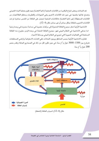 ‫الطبيعة‬ ‫في‬ ‫العنا�صر‬ ‫ودورة‬ ‫الغذائية‬ ‫ال�سل�سلة‬ - ‫الرابع‬ ‫الف�صل‬ 58
‫ال�ضوئي‬ ‫البناء‬ ‫بعملية‬ ‫تقوم‬ ‫حيث‬ )‫التغذية‬ ‫(ذاتية‬ ‫المنتجة‬ ‫الكائنات‬ ‫من‬ ‫البكتريا‬ ‫انواع‬ ‫وبع�ض‬ ‫النباتات‬ ‫تعد‬
‫من‬ ‫الطالئعيات‬ ‫ومعظم‬ ‫والفطريات‬ ‫الحيوانات‬ ‫وهي‬ ‫االخرى‬ ‫الكائنات‬ ‫تعد‬ ‫حين‬ ‫في‬ ،‫بنف�سها‬ ‫غذائها‬ ‫وت�صنع‬
‫تمد‬ ‫ثم‬ ‫مبا�شرة‬ ‫ال�شم�س‬ ‫من‬ ‫الطاقة‬ ‫على‬ ‫تح�صل‬ ‫المنتجة‬ ‫فالكائنات‬ .)‫التغذية‬ ‫ذاتية‬ ‫(غير‬ ‫الم�ستهلكة‬ ‫الكائنات‬
.)12-4( ‫�شكل‬ ‫مبا�شر‬ ‫غير‬ ‫أو‬� ‫مبا�شر‬ ‫ب�شكل‬ ‫بالطاقة‬ ‫االخرى‬ ‫الكائنات‬
‫زمنية‬ ‫وحدة‬ ‫في‬ ‫محدودة‬ ‫م�ساحة‬ ‫في‬ ‫ع�ضوية‬ ‫مركبات‬ ‫إلى‬� ‫المتحولة‬ ‫الطاقة‬ ‫مجموع‬ ‫تمثل‬ ‫أولية‬‫ل‬‫ا‬ ‫االنتاجية‬
‫الطاقة‬ ‫منه‬ ‫مطروح‬ ‫الزمن‬ ‫وحدة‬ ‫في‬ ‫المثبتة‬ ‫الطاقة‬ ‫مجموع‬ ،‫فهو‬ ‫البيئي‬ ‫النظام‬ ‫في‬ ‫االنتاجية‬ ‫�صافي‬ ‫اما‬ .
.‫االحياء‬ ‫بو�ساطة‬ ‫البيئي‬ ‫النظام‬ ‫في‬ ‫تجري‬ ‫التي‬ ‫الحيوية‬ ‫الفعاليات‬ ‫في‬ ‫الم�ستعملة‬
‫الم�ستنقعات‬ ‫وارا�ضي‬ ‫اال�ستوائية‬ ‫الغابات‬ ‫ففي‬ ،‫النباتات‬ ‫ووجود‬ ‫المناطق‬ ‫بح�سب‬ ‫أولية‬‫ل‬‫ا‬ ‫االنتاجية‬ ‫تتفاوت‬
‫بنحـو‬ ‫وتقدر‬ ‫الجافة‬ ‫ال�صحاري‬ ‫في‬ ‫ذلك‬ ‫من‬ ‫اقل‬ ‫تكون‬ ‫حين‬ ‫في‬ ،‫�سنة‬ / 2
‫م‬ /‫غم‬ 3000-1500 ‫بين‬ ‫تتـراوح‬
.‫�سنة‬ / 2
‫م‬ /‫غم‬ 200
.)‫(للحفظ‬ ‫الطاقة‬ ‫ان�سياب‬ .)12-4( ‫�شكل‬
 