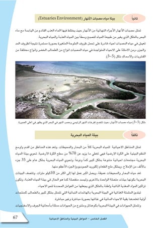 ‫االحيائية‬ ‫والمناطق‬ ‫البيئية‬ ‫المواطن‬ - ‫الخام�س‬ ‫الف�صل‬67
)Estuaries Environment(‫أنهار‬‫ل‬‫ا‬‫م�صبات‬‫مياه‬‫بيئة‬ ً‫ا‬‫ثاني‬
‫ماء‬ ‫مع‬ ‫الياب�سة‬ ‫من‬ ‫القادم‬ ‫العذب‬ ‫الماء‬ ‫فيها‬ ‫يختلط‬ ‫حيث‬ ‫أنهار‬‫ل‬‫ا‬ ‫من‬ ‫النهائية‬ ‫أجزاء‬‫ل‬‫ا‬ ‫أنهار‬‫ل‬‫ا‬ ‫م�صبات‬ ‫تمثل‬
.‫البحرية‬ ‫والمياه‬ ‫العذبة‬ ‫المياه‬ ‫بين‬ ً‫ا‬‫و�سط‬ ‫لت�صبح‬ ‫المياه‬ ‫طبيعة‬ ‫من‬ ‫يغير‬ ‫الذي‬ ‫بال�شكل‬ ‫البحر‬
‫المد‬ ‫لظروف‬ ‫نتيجة‬ ‫م�ستمرة‬ ‫ب�صورة‬ ‫المتغيرة‬ ‫الملوحة‬ ‫ظروف‬ ‫تحمل‬ ‫على‬ ‫قادرة‬ ‫احياء‬ ‫الم�صبات‬ ‫مياه‬ ‫في‬ ‫تعي�ش‬
‫من‬ ‫مختلفة‬ ‫وانواع‬ ‫الخ�ضر‬ ‫الطحالب‬ ‫من‬ ‫انواع‬ ‫الم�صبات‬ ‫مياه‬ ‫في‬ ‫المتواجدة‬ ‫االحياء‬ ‫على‬ ‫االمثلة‬ ‫ومن‬ ،‫والجزر‬
.)3-5( ‫�شكل‬ ‫واال�سماك‬ ‫الق�شريات‬
.‫ال�صورة‬ ‫اعلى‬ ‫في‬ ‫يظهر‬ ‫الذي‬ ‫البحر‬ ‫في‬ ‫النهر‬ ‫وم�صب‬ ‫الرئي�سي‬ ‫النهر‬ ‫تفرعات‬ ‫تت�ضح‬ ‫حيث‬ ،‫أنهار‬‫ل‬‫ا‬ ‫م�صبات‬ ‫مياه‬ )3-5( ‫�شكل‬
‫البحرية‬‫المياه‬‫بيئة‬ ً‫ا‬‫ثالث‬
‫واو�سع‬ ‫اقدم‬ ‫من‬ ‫المناطق‬ ‫هذه‬ ‫وتعد‬ .‫والمحيطات‬ ‫البحار‬ ‫من‬ ً‫ال‬‫ك‬ ‫البحرية‬ ‫للمياه‬ ‫االحيائية‬ ‫المناطق‬ ‫تمثل‬
‫المياه‬ ‫بيئة‬ ‫تحوي‬ .‫االر�ضية‬ ‫الكرة‬ ‫�سطح‬ ‫من‬ %70 ‫عن‬ ‫يزيد‬ ‫ما‬ ‫تغطي‬ ‫فهي‬ ‫االر�ضية‬ ‫الكرة‬ ‫على‬ ‫البيئية‬ ‫النظم‬
‫جزء‬ 35 ‫على‬ ‫عام‬ ‫ب�شكل‬ ‫البحرية‬ ‫المياه‬ ‫وتحوي‬ .ً‫ا‬‫ونوع‬ ً‫ا‬‫كم‬ ‫كبير‬ ‫ب�شكل‬ ‫متنوعة‬ ‫احيائية‬ ‫مجتمعات‬ ‫البحرية‬
.‫منها‬ ‫أعظم‬‫ل‬‫ا‬ ‫الجزء‬ )‫ال�صوديوم‬ ‫(كلوريد‬ ‫الطعام‬ ‫ملح‬ ‫وي�شكل‬ .‫إمالح‬‫ل‬‫ا‬ ‫من‬ ‫ألف‬‫ل‬‫با‬
‫البيئات‬ ‫وتت�صف‬ .‫مترات‬ ‫01كيلو‬ ‫من‬ ‫اكثر‬ ‫إلى‬� ‫لها‬ ‫عمق‬ ‫اكبر‬ ‫وي�صل‬ ،‫عميقة‬ ‫والمحيطات‬ ‫البحار‬ ‫مياه‬ ‫تعد‬
‫وتكون‬ ،‫العذبة‬ ‫المياه‬ ‫بيئة‬ ‫في‬ ‫الحال‬ ‫هو‬ ‫كما‬ ‫منف�صلة‬ ‫ولي�ست‬ ‫باالخرى‬ ‫الواحدة‬ ‫مت�صلة‬ ‫بيئات‬ ‫بكونها‬ ‫البحرية‬
.‫االحياء‬ ‫لنمو‬ ‫المحددة‬ ‫العوامل‬ ‫من‬ ‫يجعلها‬ ‫الذي‬ ‫بال�شكل‬ ‫واطئة‬ ‫الذائبة‬ ‫المغذية‬ ‫المواد‬ ‫تراكيز‬
‫كمنتجات‬ ‫بالطحالب‬ ‫كبير‬ ‫ب�شكل‬ ‫تتمثل‬ ‫التي‬ ‫النباتية‬ ‫بالهائمات‬ ‫البحرية‬ ‫البيئة‬ ‫في‬ ‫الغذائية‬ ‫ال�سل�سلة‬ ‫تبتدئ‬
.‫مبا�شرة‬ ‫وغير‬ ‫مبا�شرة‬ ‫ب�صورة‬ ‫غذائها‬ ‫في‬ ‫المائية‬ ‫االحياء‬ ‫بقية‬ ‫تعتمدها‬ ‫أولية‬�
‫واال�سفنجيات‬‫الجوف‬‫أمعائية‬�‫ب‬‫ممثلة‬‫الحيوانات‬‫من‬‫ومتنوع‬‫هائل‬‫بكم‬‫البحرية‬‫البيئة‬‫في‬‫الحيوانات‬‫وتتمثل‬
 