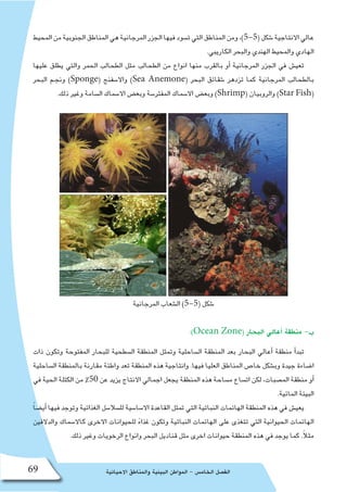 ‫االحيائية‬ ‫والمناطق‬ ‫البيئية‬ ‫المواطن‬ - ‫الخام�س‬ ‫الف�صل‬69
‫المحيط‬‫من‬‫الجنوبية‬‫المناطق‬‫هي‬‫المرجانية‬‫الجزر‬‫فيها‬‫ت�سود‬‫التي‬‫المناطق‬‫ومن‬،)5-5(‫�شكل‬‫االنتاجية‬‫عالي‬
.‫الكاريبي‬ ‫والبحر‬ ‫الهندي‬ ‫والمحيط‬ ‫الهادي‬
‫عليها‬ ‫يطلق‬ ‫والتي‬ ‫الحمر‬ ‫الطحالب‬ ‫مثل‬ ‫الطحالب‬ ‫من‬ ‫انواع‬ ‫منها‬ ‫بالقرب‬ ‫أو‬� ‫المرجانية‬ ‫الجزر‬ ‫في‬ ‫تعي�ش‬
‫البحر‬ ‫ونجـم‬ )Sponge( ‫واال�سفنج‬ )Sea Anemone( ‫البحر‬ ‫�شقائق‬ ‫تزدهر‬ ‫كما‬ ‫المرجانية‬ ‫بالطحالب‬
.‫ذلك‬ ‫وغير‬ ‫ال�سامة‬ ‫اال�سماك‬ ‫وبع�ض‬ ‫المفتر�سة‬ ‫اال�سماك‬ ‫وبع�ض‬ )Shrimp( ‫والروبيان‬ )Star Fish(
‫المرجانية‬ ‫ال�شعاب‬ )5-5( ‫�شكل‬
:)Ocean Zone( ‫البحار‬ ‫أعالي‬� ‫منطقة‬ -‫ب‬
‫ذات‬ ‫وتكون‬ ‫المفتوحة‬ ‫للبحار‬ ‫ال�سطحية‬ ‫المنطقة‬ ‫وتمثل‬ ‫ال�ساحلية‬ ‫المنطقة‬ ‫بعد‬ ‫البحار‬ ‫أعالي‬� ‫منطقة‬ ‫أ‬�‫تبد‬
‫ال�ساحلية‬ ‫بالمنطقة‬ ‫مقارنة‬ ‫واطئة‬ ‫تعد‬ ‫المنطقة‬ ‫هذه‬ ‫وانتاجية‬ .‫فيها‬ ‫العليا‬ ‫المناطق‬ ‫خا�ص‬ ‫وب�شكل‬ ‫جيدة‬ ‫ا�ضاءة‬
‫في‬ ‫الحية‬ ‫الكتلة‬ ‫من‬ ٪50 ‫عن‬ ‫يزيد‬ ‫االنتاج‬ ‫اجمالي‬ ‫يجعل‬ ‫المنطقة‬ ‫هذه‬ ‫م�ساحة‬ ‫ات�ساع‬ ‫لكن‬ ،‫الم�صبات‬ ‫منطقة‬ ‫أو‬�
.‫المائية‬ ‫البيئة‬
ً‫ا‬‫أي�ض‬� ‫فيها‬ ‫وتوجد‬ ‫الغذائية‬ ‫لل�سال�سل‬ ‫اال�سا�سية‬ ‫القاعدة‬ ‫تمثل‬ ‫التي‬ ‫النباتية‬ ‫الهائمات‬ ‫المنطقة‬ ‫هذه‬ ‫في‬ ‫يعي�ش‬
‫والدالفين‬ ‫كاال�سماك‬ ‫االخرى‬ ‫للحيوانات‬ ً‫غذاء‬ ‫وتكون‬ ‫النباتية‬ ‫الهائمات‬ ‫على‬ ‫تتغذى‬ ‫التي‬ ‫الحيوانية‬ ‫الهائمات‬
.‫ذلك‬ ‫وغير‬ ‫الرخويات‬ ‫وانواع‬ ‫البحر‬ ‫قناديل‬ ‫مثل‬ ‫اخرى‬ ‫حيوانات‬ ‫المنطقة‬ ‫هذه‬ ‫في‬ ‫يوجد‬ ‫كما‬ .ً‫ال‬‫مث‬
 