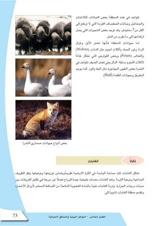 ‫االحيائية‬ ‫والمناطق‬ ‫البيئية‬ ‫المواطن‬ - ‫الخام�س‬ ‫الف�صل‬73
‫كاال�شنات‬ ‫النباتات‬ ‫بع�ض‬ ‫المنطقة‬ ‫هذه‬ ‫في‬ ‫تتواجد‬
‫إلى‬� ‫ترتفع‬ ‫ال‬ ‫التي‬ ‫القزمة‬ ‫ال�صف�صاف‬ ‫ونباتات‬ ‫والح�شائ�ش‬
‫ي�صل‬ ‫التي‬ ‫ال�شجيرات‬ ‫بع�ض‬ ‫توجد‬ ‫وقد‬ ،‫�سنتيمتر‬ 7‫من‬ ‫اكثر‬
.‫المتر‬ ‫من‬ ‫يقرب‬ ‫ما‬ ‫إلى‬� ‫ارتفاعها‬
‫وغزال‬ ‫أيل‬‫ل‬‫ا‬ ‫ت�شمل‬ ‫أنها‬�‫ف‬ ‫المنطقة‬ ‫حيوانات‬ ‫اما‬
)Wolves( ‫الذئاب‬ ‫مثل‬ ‫لحوم‬ ‫آكالت‬�‫و‬ ‫الم�سك‬ ‫وثور‬ ‫الرنة‬
ً‫ا‬‫غذاء‬ ‫ت�شكل‬ ‫التي‬ ‫القوار�ض‬ ‫وبع�ض‬ )Foxes( ‫والثعالب‬
‫في‬ ‫تتواجد‬ ‫ال�صيف‬ ‫ف�صل‬ ‫وفي‬ ‫الذكر‬ ‫�سابقة‬ ‫اللحوم‬ ‫آكالت‬‫ل‬
‫يوجد‬ ‫كما‬ .‫والوز‬ ‫البط‬ ‫مثل‬ ‫المهاجرة‬ ‫الطيور‬ ‫بع�ض‬ ‫التندرا‬
.)Seal( ‫الفقمة‬ ‫وحيوانات‬ ‫البطريق‬
‫الغابات‬ ً‫ا‬‫ثالث‬
‫الظروف‬ ‫وفق‬ ‫ونوعيتها‬ ‫توزيعها‬ ‫ًويتباين‬‫ا‬‫تقريب‬ ‫االر�ضية‬ ‫الكرة‬ ‫في‬ ‫الياب�سة‬ ‫م�ساحة‬ ‫ثلث‬ ‫الغابات‬ ‫ت�شكل‬
‫بين‬ ‫الفروقات‬ ‫تقليل‬ ‫في‬ ‫دورها‬ ‫عن‬ ً‫ال‬‫ف�ض‬ ‫للرياح‬ ‫جيدة‬ ‫طبيعية‬ ‫م�صدات‬ ‫الغابات‬ ‫وتعد‬ .‫التربة‬ ‫ونوعية‬ ‫المناخية‬
،‫أ�شجار‬‫ل‬‫ا‬ ‫أوراق‬‫ل‬ ‫الم�ستمر‬ ‫الت�ساقط‬ ‫من‬ ‫الناتجة‬ ‫الع�ضوية‬ ‫بالمادة‬ ‫غنية‬ ‫الغابات‬ ‫وتربة‬ .‫الحرارة‬ ‫درجات‬ ‫مديات‬
:‫إلى‬� ً‫ا‬‫ثانوي‬ ‫الغابات‬ ‫منطقة‬ ‫وتق�سم‬
‫التندرا‬ ‫�صحاري‬ ‫حيوانات‬ ‫أنواع‬� ‫بع�ض‬
 