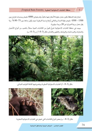 ‫االحيائية‬ ‫والمناطق‬ ‫البيئية‬ ‫المواطن‬ - ‫الخام�س‬ ‫الف�صل‬ 74
)Tropical Rain Forests( ‫المطرية‬ ‫اال�ستوائية‬ ‫الغابات‬ ‫منطقة‬ 1
‫بين‬‫تتراوح‬‫وبمديات‬‫مليمتر‬4000 ‫يتجاوز‬‫وقد‬،ً‫ا‬‫عالي‬‫فيها‬‫أمطار‬‫ل‬‫ا‬‫�سقوط‬‫معدل‬‫بكون‬‫المنطقة‬‫هذه‬‫تمتاز‬
‫وال‬ ، % 80-75 ‫بين‬ ‫مداها‬ ‫يكون‬ ‫حيث‬ ‫الرطوبة‬ ‫ن�سبة‬ ‫أرتفاع‬� ‫وبالتالي‬ ‫ال�سنة‬ ‫طيلة‬ ‫مليمتر‬ 4500 - 1500
.‫�سيليزية‬ ‫درجة‬ 20 ‫عن‬ ‫الحرارة‬ ‫درجة‬ ‫معدل‬ ‫يقل‬
‫أ�شجار‬‫ل‬‫ا‬ ‫أنواع‬� ‫من‬ ‫بالعديد‬ ً‫ال‬‫ممث‬ ‫الحية‬ ‫الكائنات‬ ‫من‬ ٌ‫كبير‬ ٌ‫تنوع‬ ‫اال�ستوائية‬ ‫الغابات‬ ‫منطقة‬ ‫في‬ ‫يوجد‬
.)‫(5-8-ب‬ ‫و‬ ) ‫أ‬�-8-5( ‫�شكل‬ ‫واللبائن‬ ‫والطيور‬ ‫والزواحف‬ ‫والبرمائيات‬ ‫والح�شرات‬
.‫النباتي‬ ‫التواجد‬ ‫كثافة‬ ‫فيها‬ ‫ويت�ضح‬ ‫المطرية‬ ‫اال�ستوائية‬ ‫الغابات‬ )‫أ‬� - 8-5( ‫�شكل‬
‫المطرية‬ ‫اال�ستوائية‬ ‫الغابات‬ ‫في‬ ‫تعي�ش‬ ‫التي‬ ‫الكائنات‬ ‫أنواع‬� ‫بع�ض‬ )‫ب‬ - 8-5( ‫�شكل‬
 