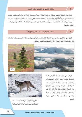 ‫االحيائية‬ ‫والمناطق‬ ‫البيئية‬ ‫المواطن‬ - ‫الخام�س‬ ‫الف�صل‬75
‫الخ�ضرة‬ ‫دائمة‬ ‫البلوطية‬ ‫ال�شجيرات‬ ‫منطقة‬ 2
‫االخرى‬ ‫هي‬ ‫الحرارة‬ ‫درجات‬ ‫ان‬ ‫كما‬ ‫معتدلة‬ ‫وبمعدالت‬ ‫ال�شتاء‬ ‫ف�صل‬ ‫في‬ ‫االمطار‬ ‫ب�سقوط‬ ‫المنطقة‬ ‫هذه‬ ‫تمتاز‬
.‫ا�ستراليا‬‫وجنوب‬‫المتو�سط‬‫البحر‬‫حو�ض‬‫في‬‫ممثلة‬‫المنطقة‬‫وهذه‬.‫�سيليزية‬ ‫درجة‬ )18-5(‫بين‬‫وتتراوح‬‫معتدلة‬
‫والزواحف‬ ‫الح�شرات‬ ‫المنطقة‬ ‫هذه‬ ‫حيوانات‬ ‫اهم‬ ‫ومن‬ .‫الخ�ضرة‬ ‫دائمة‬ ‫ا�شجار‬ ‫نباتات‬ ‫المنطقة‬ ‫هذه‬ ‫في‬ ‫يوجد‬
.‫وغيرها‬ ‫والطيور‬
)Taiga ‫(التيجة‬ ‫ال�شمالية‬ ‫الغابات‬ ‫منطقة‬ 3
‫وتت�ساقط‬ ‫جاف‬ ‫بارد‬ ٍ‫قا�س‬ ٍ‫ء‬‫ب�شتا‬ ‫وتتميز‬ ،‫أوربا‬� ‫و�شمال‬ ‫ال�شمالية‬ ‫وامريكا‬ ‫ا�سيا‬ ‫من‬ ‫وا�سعة‬ ‫مناطق‬ ‫في‬ ‫تتوزع‬
.ً‫ا‬‫وممطر‬ ً‫ا‬‫ق�صير‬ ‫فيها‬ ‫ال�صيف‬ ‫ويكون‬ ‫ال�شتاء‬ ‫ف�صل‬ ‫خالل‬ ‫فيها‬ ‫الثلوج‬
‫دائمة‬ ‫ا�شجار‬ ‫المنطقة‬ ‫هذه‬ ‫في‬ ‫تتواجد‬
‫ال�صنوبريات‬ ‫أنواع‬� ‫فيها‬ ‫وت�سود‬ ‫الخ�ضرة‬
‫اما‬ .‫للبرودة‬ ‫متكيفة‬ ‫واع�شاب‬ ‫وح�شائ�ش‬
‫اللبائن‬ ‫فيها‬ ‫وت�سود‬ ‫فمتنوعة‬ ‫الحيوانات‬
‫أرانب‬‫ل‬‫وا‬ )9-5( ‫�شكل‬ ‫والذئاب‬ ‫الدببة‬ ‫مثل‬
‫الرنة‬ ‫وغزالن‬ ‫وااليل‬ ‫والثعالب‬ ‫وال�سناجب‬
‫كبيرة‬ ‫طيور‬ ‫تواجد‬ ‫عن‬ ً‫ال‬‫ف�ض‬ ‫والقند�س‬
.‫الحجم‬
.‫ال�شمالية‬ ‫للغابات‬ ‫منظر‬ )‫أ‬�( )9-5( ‫�شكل‬
.‫ال�شمالية‬ ‫الغابات‬ ‫حيوانات‬ ‫أحد‬� ‫الذئب‬ )‫(ب‬
) ‫أ‬� (
) ‫ب‬ (
 