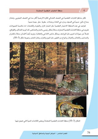‫االحيائية‬ ‫والمناطق‬ ‫البيئية‬ ‫المواطن‬ - ‫الخام�س‬ ‫الف�صل‬ 76
‫المعتدلة‬ ‫النف�ضية‬ ‫الغابات‬ ‫منطقة‬ 4
‫وتمتاز‬ .‫الجنوبي‬ ‫الن�صف‬ ‫في‬ ‫مما‬ ‫أكثر‬� ‫االر�ضية‬ ‫للكرة‬ ‫ال�شمالي‬ ‫الن�صف‬ ‫في‬ ‫النف�ضية‬ ‫الغابات‬ ‫مناطق‬ ‫تكثر‬
.ً‫ا‬‫ن�سبي‬ ‫جيدة‬ ‫مطر‬ ‫�سقوط‬ ‫ومعدالت‬ ‫ال�شتاء‬ ‫في‬ ‫وبارد‬ ‫ال�صيف‬ ‫في‬ ً‫ا‬‫ن�سبي‬ ‫دافئ‬ ‫بمناخ‬
‫للحيوانات‬ ‫بالن�سبة‬ ‫اما‬ .‫والك�ستناء‬ ‫والبلوط‬ ‫الزان‬ ‫ا�شجار‬ ‫مثل‬ ‫النف�ضية‬ ‫اال�شجار‬ ‫المنطقة‬ ‫هذه‬ ‫في‬ ‫تتواجد‬
،‫والقواقع‬‫العناكب‬‫توجد‬‫كما‬،‫والخناف�س‬‫بالنمل‬‫رئي�سي‬‫ب�شكل‬‫ممثلة‬‫الح�شرات‬‫النف�ضية‬‫الغابات‬‫منطقة‬‫في‬‫فتوجد‬
‫بالفئران‬ ‫ممثلة‬ ‫اللبائن‬ ً‫ا‬‫أي�ض‬� ‫وتوجد‬ ،‫والعظايا‬ ‫االفاعي‬ ‫خا�ص‬ ‫وب�شكل‬ ‫الزواحف‬ ‫مثل‬ ‫اخرى‬ ‫حيوانات‬ ‫عن‬ ً‫ال‬‫ف�ض‬
.)10-5( ‫�شكل‬ ‫وغيرها‬ ‫الخ�شب‬ ‫ونقار‬ ‫والغراب‬ ‫البوم‬ ‫مثل‬ ‫الطيور‬ ‫من‬ ‫وانواع‬ ‫والغزالن‬ ‫والثعالب‬ ‫وال�سناجب‬
‫فيها‬ ‫تعي�ش‬ ‫التي‬ ‫الحية‬ ‫الكائنات‬ ‫وبع�ض‬ ‫المعتدلة‬ ‫النف�ضية‬ ‫الغابات‬ ‫منطقة‬ )10-5( ‫ال�شكل‬
 