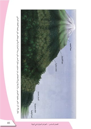 ‫البيئة‬‫في‬‫ؤثرة‬�‫الم‬‫العوامل‬- ‫ال�ساد�س‬‫الف�صل‬85
.‫النباتي‬‫الغطاء‬‫طبيعة‬‫على‬‫ينعك�س‬‫والذي‬‫الحرارة‬‫درجة‬‫على‬‫البحر‬‫�سطح‬‫م�ستوى‬‫عن‬‫واالنخفا�ض‬‫واالرتفاع‬،‫العر�ض‬‫خطوط‬‫أثير‬�‫ت‬.)1-6(‫�شكل‬
 
