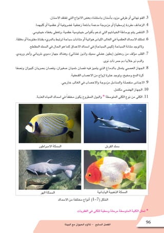‫البيئة‬ ‫مع‬ ‫الحيوان‬ ‫ؤم‬�‫تال‬ - ‫ال�سابع‬ ‫الف�صل‬ 96
.‫اال�سنان‬ ‫تفتقد‬ ‫التي‬ ‫االنواع‬ ‫بع�ض‬ ‫با�ستثناء‬ ‫أ�سنان‬�‫ب‬ ‫مزود‬ ‫طرفي‬ ‫أو‬� ‫نهائي‬ ‫الفم‬ .3
.‫كليهما‬ ‫أو‬� ‫عظمية‬ ‫أو‬� ‫غ�ضروفية‬ ‫زعنفية‬ ‫با�شعة‬ ‫مدعمة‬ ‫مزدوجة‬ ‫أو‬� )‫(و�سطية‬ ‫مفردة‬ ‫الزعانف‬ .4
.‫خي�شومي‬ ‫بغطاء‬ ‫وتغطى‬ ،‫عظمية‬ ‫خي�شومية‬ ‫أقوا�س‬�‫ب‬ ‫تدعم‬ ‫التي‬ ‫الخيا�شيم‬ ‫بو�ساطة‬ ‫يتم‬ ‫التنف�س‬ .5
.‫مغلقة‬‫أو‬�‫مفتوحة‬‫بقناة‬‫بالمريء‬‫ترتبط‬‫�سباحة‬‫مثانات‬‫أو‬�‫هوائية‬‫اكيا�س‬‫الغالب‬‫في‬‫العظمية‬‫اال�سماك‬‫تمتلك‬ .6
.‫المفلطح‬ ‫ال�سمك‬ ‫في‬ ‫الحال‬ ‫هو‬ ‫كما‬ ‫االعماق‬ ‫ا�سماك‬ ‫في‬ )‫ال�سباحة‬ ‫(كي�س‬ ‫ال�سباحة‬ ‫مثانة‬ ‫والتوجد‬
.‫وريدي‬ ‫آخر‬�‫و‬ ‫�شرياني‬ ‫دموي‬ ‫جهاز‬ ‫وهناك‬ ،)‫غ�شائي‬ ‫واذين‬ ‫�سميك‬ ‫ع�ضلي‬ ‫(بطين‬ ‫ردهتين‬ ‫من‬ ‫ؤلف‬�‫م‬ ‫القلب‬ .7
.‫نوى‬ ‫ذات‬ ‫حمر‬ ‫دم‬ ‫خاليا‬ ‫ذو‬ ‫والدم‬
‫ون�صفا‬ ‫كبيران‬ ‫ب�صريان‬ ‫وف�صان‬ ،‫�صغيران‬ ‫�شميان‬ ‫ف�صان‬ ‫فيه‬ ‫يتميز‬ ‫الذي‬ ‫بالدماغ‬ ‫يتمثل‬ ‫الع�صبي‬ ‫الجهاز‬ .8
.‫القحفية‬ ‫االع�صاب‬ ‫من‬ ‫ازواج‬ ‫ع�شرة‬ ‫وتوجد‬ ،‫ومخيخ‬ ‫المخ‬ ‫كرة‬
.‫خارجي‬ ‫الغالب‬ ‫في‬ ‫واالخ�صاب‬ ‫مزدوجة‬ ‫والمنا�سل‬ ‫منف�صلة‬ ‫االجنا�س‬ .9
.‫مكتمل‬ ‫اله�ضمي‬ ‫الجهاز‬ .10
.‫العذبة‬ ‫المياه‬ ‫ا�سماك‬ ‫في‬ ً‫ا‬‫مخفف‬ ‫يكون‬ ‫المطروح‬ ‫والبول‬ * ‫المتو�سطة‬ ‫الكلى‬ ‫نوع‬ ‫من‬ ‫الكلى‬ .11
‫االمبراطور‬ ‫ال�سمكة‬ ‫القر�ش‬ ‫�سمك‬
‫اليابانية‬ ‫الذهبية‬ ‫ال�سمكة‬‫الهر‬ ‫ال�سمكة‬
‫اال�سماك‬ ‫من‬ ‫مختلفة‬ ‫أنواع‬� )1-7( ‫ال�شكل‬
‫الفقريات‬ ‫في‬ ‫للكلى‬ ‫و�سطية‬ ‫مرحلة‬ ‫المتو�سطة‬ ‫الكلية‬ ‫تمثل‬ *
 