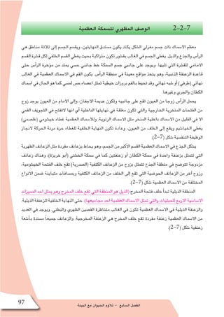 ‫البيئة‬ ‫مع‬ ‫الحيوان‬ ‫ؤم‬�‫تال‬ - ‫ال�سابع‬ ‫الف�صل‬97
‫العظمية‬ ‫لل�سمكة‬ ‫المظهري‬ ‫الو�صف‬ 2-2-7
‫هي‬ ‫مناطق‬ ‫ثالثة‬ ‫إلى‬� ‫الج�سم‬ ‫ويق�سم‬ ،‫النهايتين‬ ‫م�ستدق‬ ‫يكون‬ ‫يكاد‬ ‫ال�شكل‬ ‫مغزلي‬ ‫ج�سم‬ ‫ذات‬ ‫اال�سماك‬ ‫معظم‬
‫الق�سم‬‫ق�شرة‬‫لكل‬‫الخلفي‬‫الق�سم‬‫يغطي‬‫بحيث‬‫متراكبة‬‫تكون‬‫بق�شور‬‫الغالب‬‫في‬‫الج�سم‬‫يغطى‬.‫والذيل‬‫والجذع‬‫أ�س‬�‫الر‬
‫حتى‬ ‫أ�س‬�‫الر‬ ‫ؤخرة‬�‫م‬ ‫من‬ ‫يمتد‬ ‫ح�سي‬ ‫جانبي‬ ‫خط‬ ‫ال�سمكة‬ ‫ج�سم‬ ‫جانبي‬ ‫على‬ ‫ويوجد‬ .‫تليها‬ ‫التي‬ ‫للق�شرة‬ ‫االمامي‬
‫الغالب‬ ‫في‬ ‫العظمية‬ ‫اال�سماك‬ ‫في‬ ‫الفم‬ ‫يكون‬ .‫أ�س‬�‫الر‬ ‫منطقة‬ ‫في‬ ‫معينة‬ ‫مواقع‬ ‫يتخذ‬ ‫وهو‬ ،‫الذنبية‬ ‫الزعنفة‬ ‫قاعدة‬
‫ا�سماك‬‫في‬‫الحال‬‫هو‬‫كما‬‫لم�سي‬‫ح�س‬‫اع�ضاء‬‫تمثل‬‫خيطية‬‫بروزات‬‫بالفم‬‫تحيط‬‫وقد‬‫نهائي‬‫�شبه‬‫أو‬� )‫(طرفي‬‫نهائي‬
.‫وغيرها‬ ‫والجري‬ ‫الكطان‬
‫زوج‬ ‫يوجد‬ ‫العيون‬ ‫من‬ ‫االمام‬ ‫إلى‬�‫و‬ ،‫االجفان‬ ‫عديمة‬ ‫وتكون‬ ‫جانبيه‬ ‫على‬ ‫تقع‬ ‫العيون‬ ‫من‬ ‫زوجا‬ ‫أ�س‬�‫الر‬ ‫يحمل‬
‫الفمي‬ ‫التجويف‬ ‫في‬ ‫التفتح‬ ‫انها‬ ‫أي‬� ‫الداخلية‬ ‫نهايتها‬ ‫في‬ ‫مغلقة‬ ‫تكون‬ ‫والتي‬ ‫الخارجية‬ ‫المنخرية‬ ‫الفتحات‬ ‫من‬
)‫(غل�صمي‬ ‫خي�شومي‬ ‫غطاء‬ ‫العظمية‬ ‫ولال�سماك‬ .‫الرئوية‬ ‫اال�سماك‬ ‫مثل‬ ‫المنخر‬ ‫داخلية‬ ‫اال�سماك‬ ‫من‬ ‫القليل‬ ‫في‬ ‫اال‬
‫النجاز‬ ‫الحركة‬ ‫مرنة‬ ‫حرة‬ ‫للغطاء‬ ‫الخلفية‬ ‫النهاية‬ ‫تكون‬ ‫وعادة‬ ،‫العيون‬ ‫من‬ ‫الخلف‬ ‫إلى‬� ‫ويقع‬ ‫الخيا�شيم‬ ‫يغطي‬
.)2-7( ‫�شكل‬ ‫التنف�سية‬ ‫الوظيفة‬
‫الظهرية‬‫الزعانف‬‫مثل‬‫مفردة‬‫بزعانف‬‫يحاط‬‫وهو‬،‫الج�سم‬‫من‬‫أكبر‬‫ل‬‫ا‬‫الق�سم‬‫العظمية‬‫اال�سماك‬‫في‬‫الجذع‬‫ي�شكل‬
‫زعانف‬ ‫وهناك‬ ،)‫خريزة‬ ‫أبو‬�( ‫الخ�شني‬ ‫�سمكة‬ ‫في‬ ‫كما‬ ‫زعنفتين‬ ‫أو‬� ‫الكطان‬ ‫�سمكة‬ ‫في‬ ‫واحدة‬ ‫بزعنفة‬ ‫تتمثل‬ ‫التي‬
،‫الخي�شومية‬ ‫الفتحة‬ ‫خلف‬ ‫تقع‬ )‫(ال�صدرية‬ ‫الكتفية‬ ‫الزعانف‬ ‫من‬ ‫بزوج‬ ‫تتمثل‬ ‫الجذع‬ ‫منطقة‬ ‫في‬ ‫تتو�ضح‬ ‫مزدوجة‬
‫االنواع‬ ‫�ضمن‬ ‫متباينة‬ ‫وبم�سافات‬ ‫الكتفية‬ ‫الزعانف‬ ‫من‬ ‫الخلف‬ ‫إلى‬� ‫تقع‬ ‫التي‬ ‫الحو�ضية‬ ‫الزعانف‬ ‫من‬ ‫آخر‬� ‫وزوج‬
.)2-7( ‫�شكل‬ ‫العظمية‬ ‫اال�سماك‬ ‫من‬ ‫المختلفة‬
‫المميزات‬ ‫احد‬ ‫يمثل‬ ‫وهو‬ ‫المخرج‬ ‫خلف‬ ‫تقع‬ ‫التي‬ ‫المنطقة‬ ‫هو‬ ‫(الذيل‬ ‫المخرج‬ ‫فتحة‬ ‫خلف‬ ‫أ‬�‫تبد‬ ‫الذيلية‬ ‫المنطقة‬
.‫الذيلية‬ ‫للزعنفة‬ ‫الخلفية‬ ‫النهاية‬ ‫حتى‬ .)‫مجاميعها‬ ‫احد‬ ‫العظمية‬ ‫اال�سماك‬ ‫تمثل‬ ‫والتي‬ ‫للحبليات‬ ‫االربع‬ ‫اال�سا�سية‬
‫العديد‬ ‫في‬ ‫ويوجد‬ .‫والبطني‬ ‫الظهري‬ ‫الف�صين‬ ‫متناظرة‬ ‫الغالب‬ ‫في‬ ‫تكون‬ ‫العظمية‬ ‫اال�سماك‬ ‫في‬ ‫الذيلية‬ ‫والزعنفة‬
‫أ�شعة‬�‫ب‬ ‫م�سندة‬ ً‫ا‬‫جميع‬ ‫والزعانف‬ .‫المخرجية‬ ‫الزعنفة‬ ‫هي‬ ‫المخرج‬ ‫خلف‬ ‫تقع‬ ‫مفردة‬ ‫زعنفة‬ ‫العظمية‬ ‫اال�سماك‬ ‫من‬
.)2-7( ‫�شكل‬ ‫زعنفية‬
 