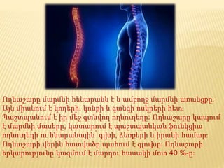 Ողնաշարը մարմնի հենարանն է և ամբողջ մարմնի առանցքը։
Այն միանում է կողերի, կոնքի և գանգի ոսկրերի հետ։
Պաշտպանում է իր մեջ գտնվող ողնուղեղը: Ողնաշարը կապում
է մարմնի մասերը, կատարում է պաշտպանկան ֆունկցիա
ողնուղեղի ու հնարանային՝ գլխի, ձեռքերի և իրանի համար։
Ողնաշարի վերին հատվածը պահում է գլուխը։ Ողնաշարի
երկարությունը կազմում է մարդու հասակի մոտ 40 %-ը։
 