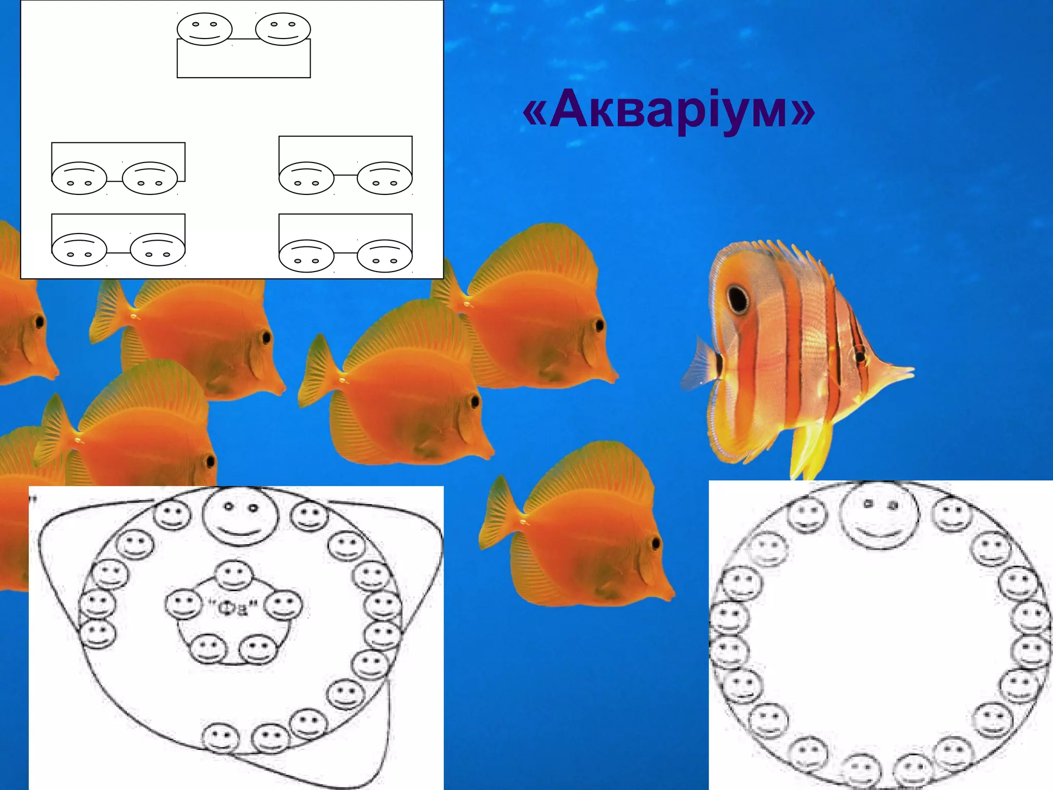 «Акваріум»
 