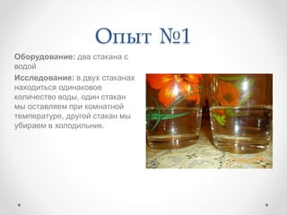 За сколько испарится вода при комнатной температуре