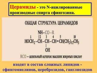 Церамиды - это N-ацилированные
производные спирта сфингозина.
входят в состав сложных липидов -
сфингомиелинов, цереброзидов, ганглиозидов
 