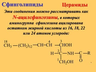 Церамиды
Эти соединения можно рассматривать как
N-ацилсфингозины, в которых
аминогруппа сфингозина ацилирована
остатком жирной кислоты из 16, 18, 22
или 24 атомов углерода:
18 4 3
2
1
C
СH=СН(CH2)12CH3 CHOH
H
CH2OH
NH C
O
R
.
Сфинголипиды
 