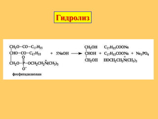 Гидролиз
 