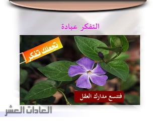 ‫التفكر‬‫عبادة‬
‫الع‬ ‫مدارك‬ ‫فتتسع‬‫قل‬
 