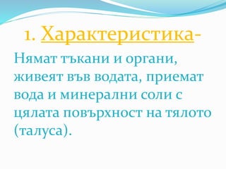 1. Характеристика-
Нямат тъкани и органи,
живеят във водата, приемат
вода и минерални соли с
цялата повърхност на тялото
(талуса).
 