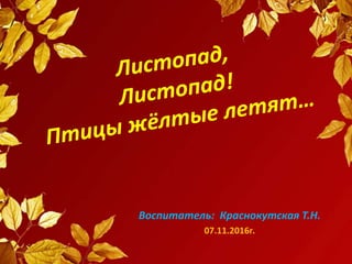 Воспитатель: Краснокутская Т.Н.
07.11.2016г.
 